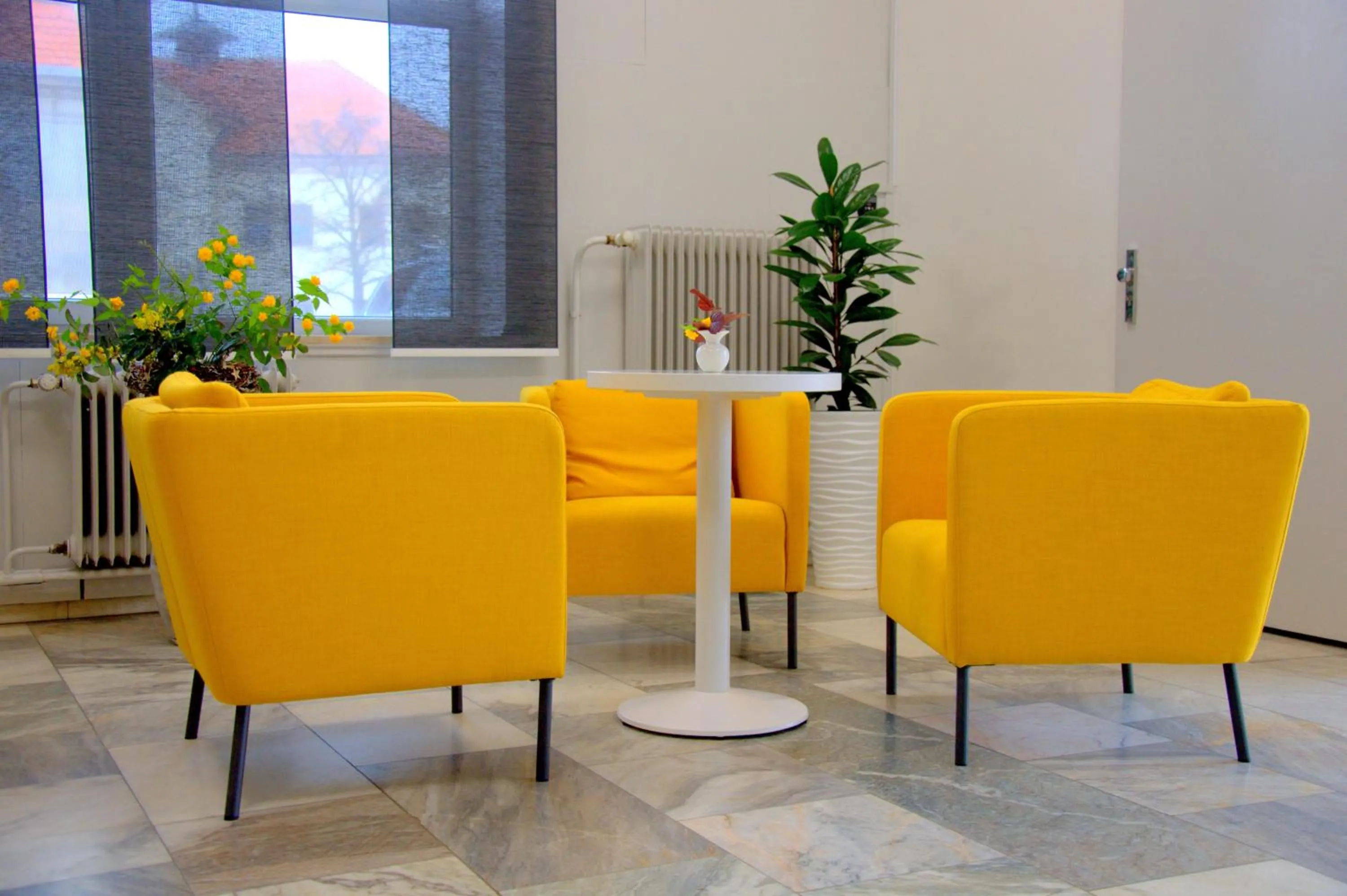 Area and facilities in Hotel Gregor