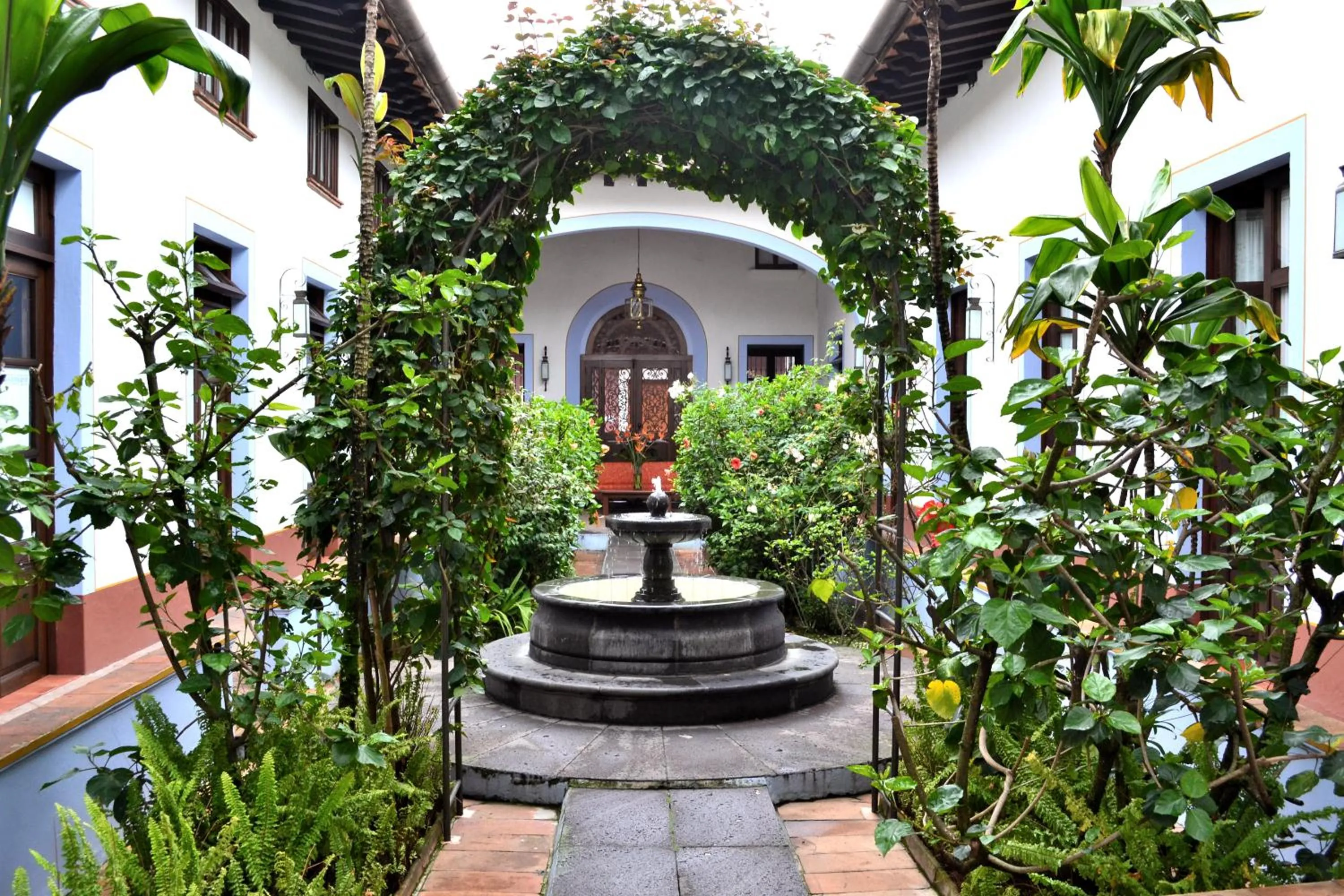 Garden in Meson del Alferez Coatepec