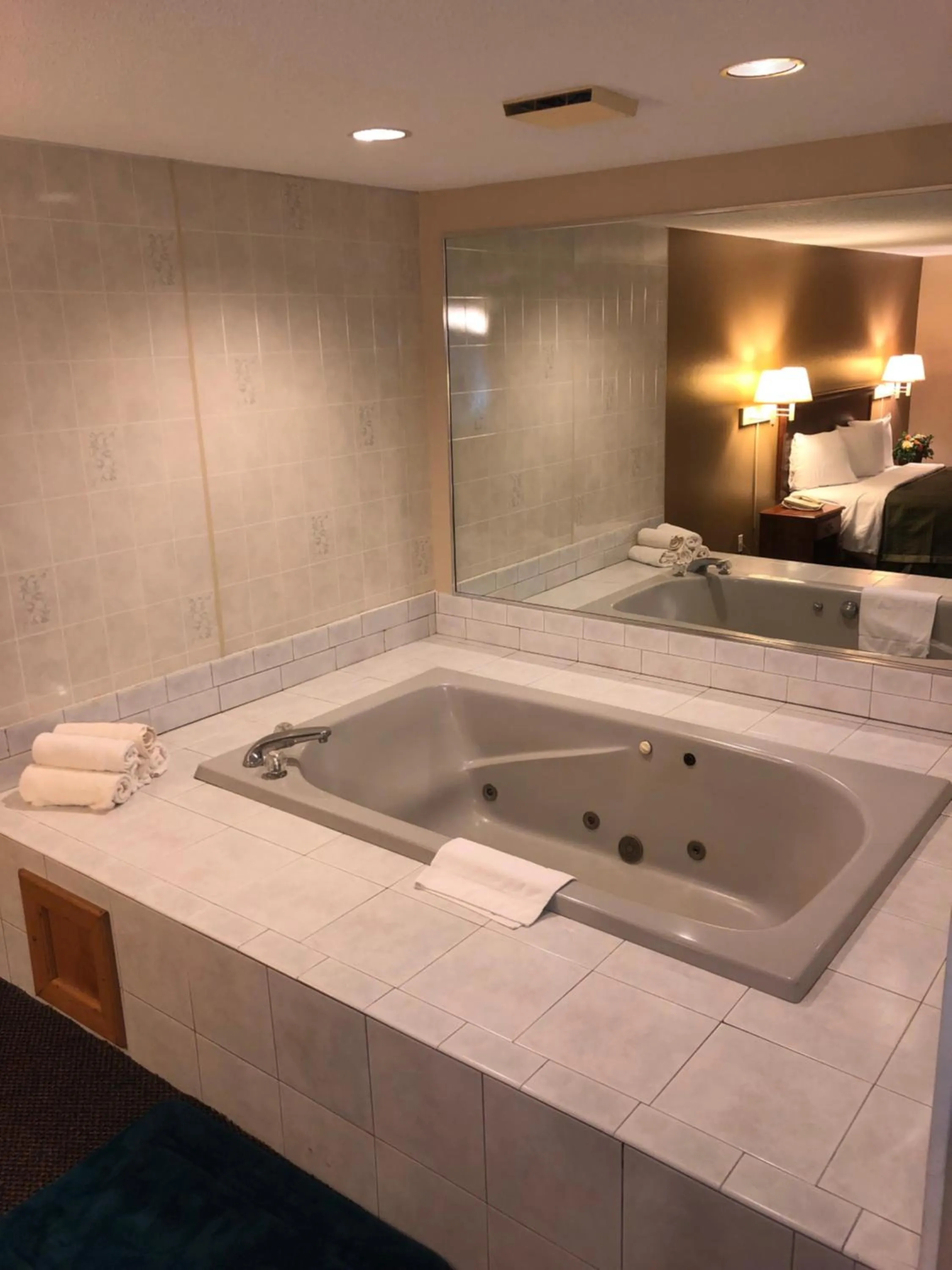 Spa and wellness centre/facilities in Econo Lodge Lake Mills