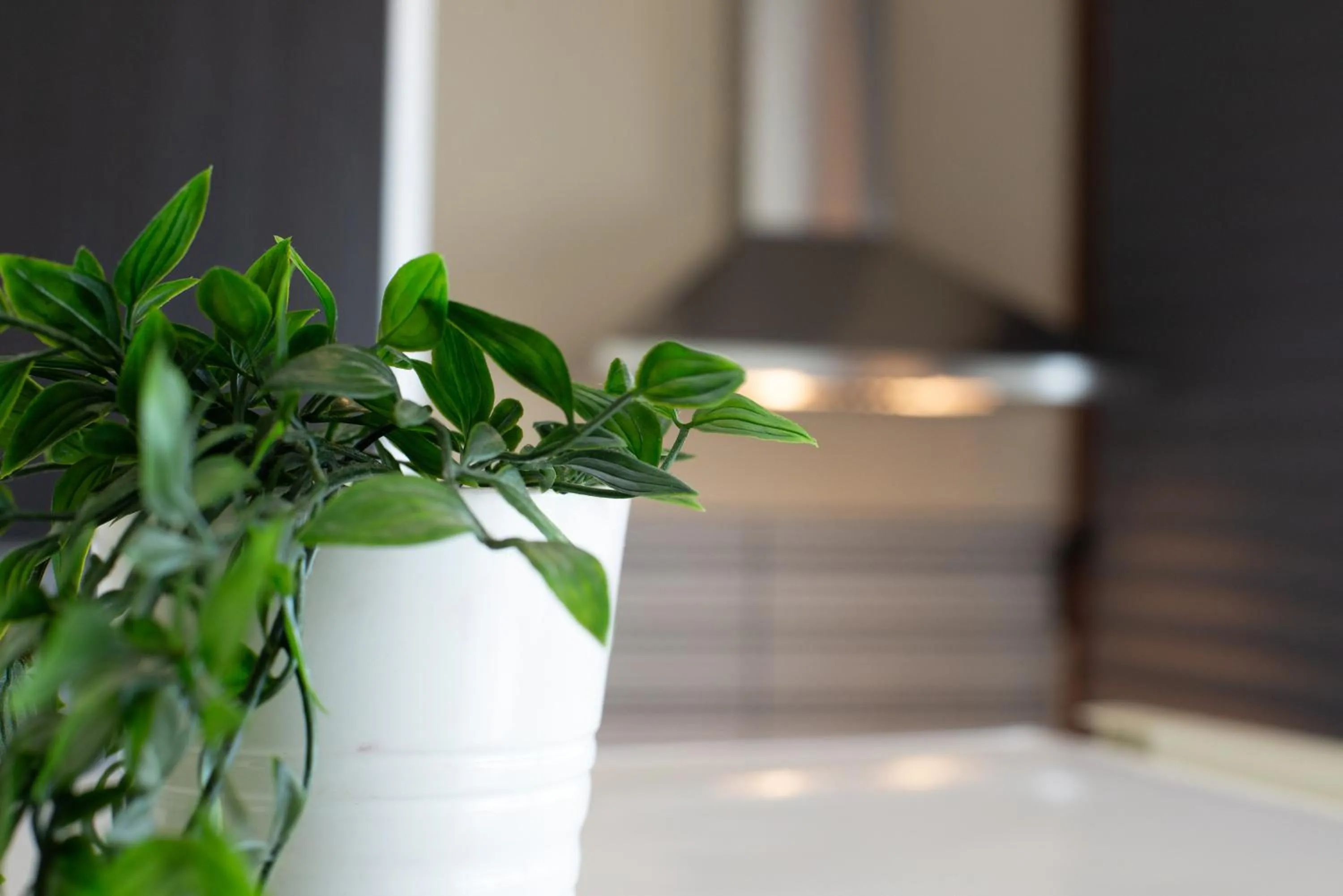 kitchen in Casal Trinacria