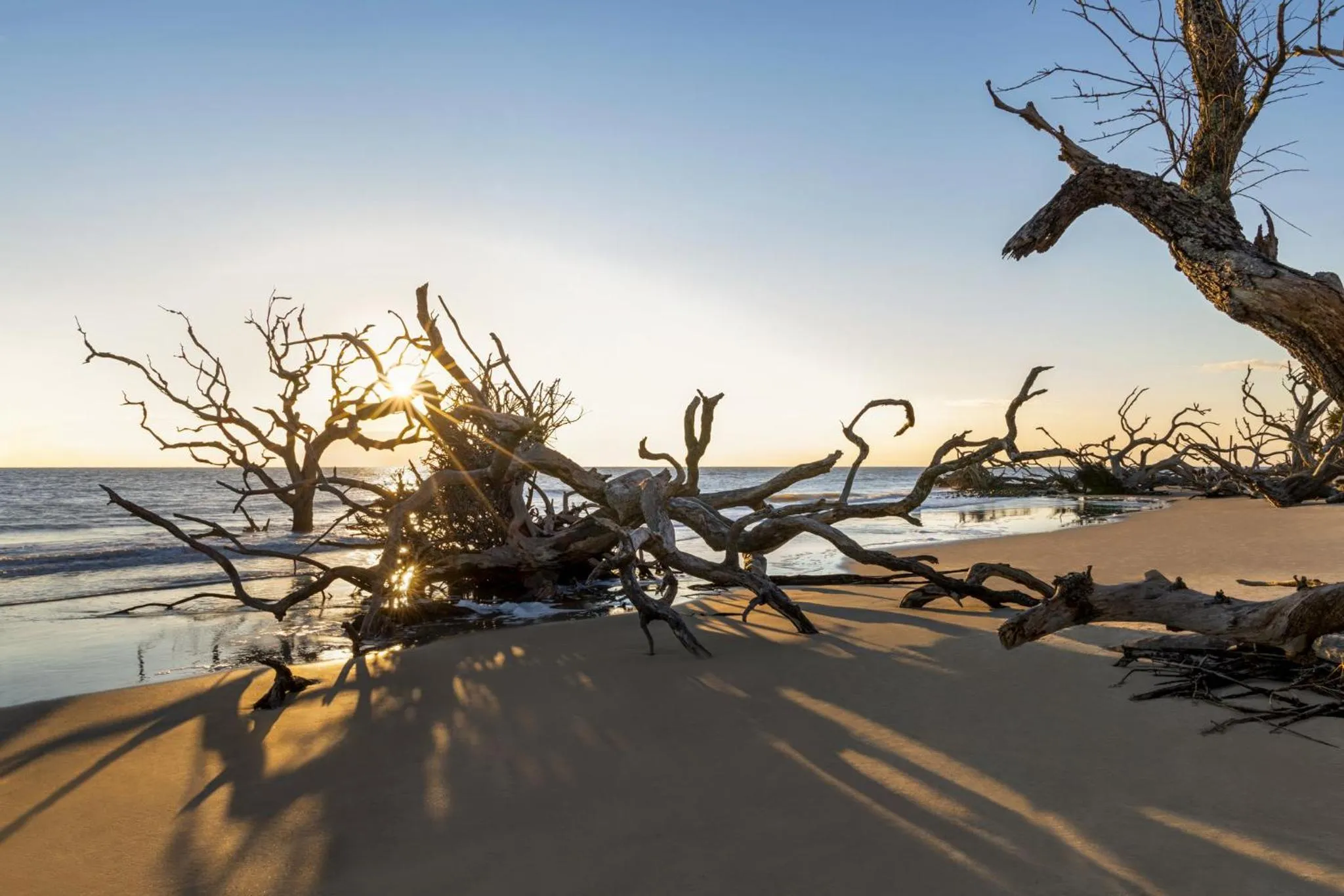 Area and facilities in Holiday Inn Resort Jekyll Island by IHG