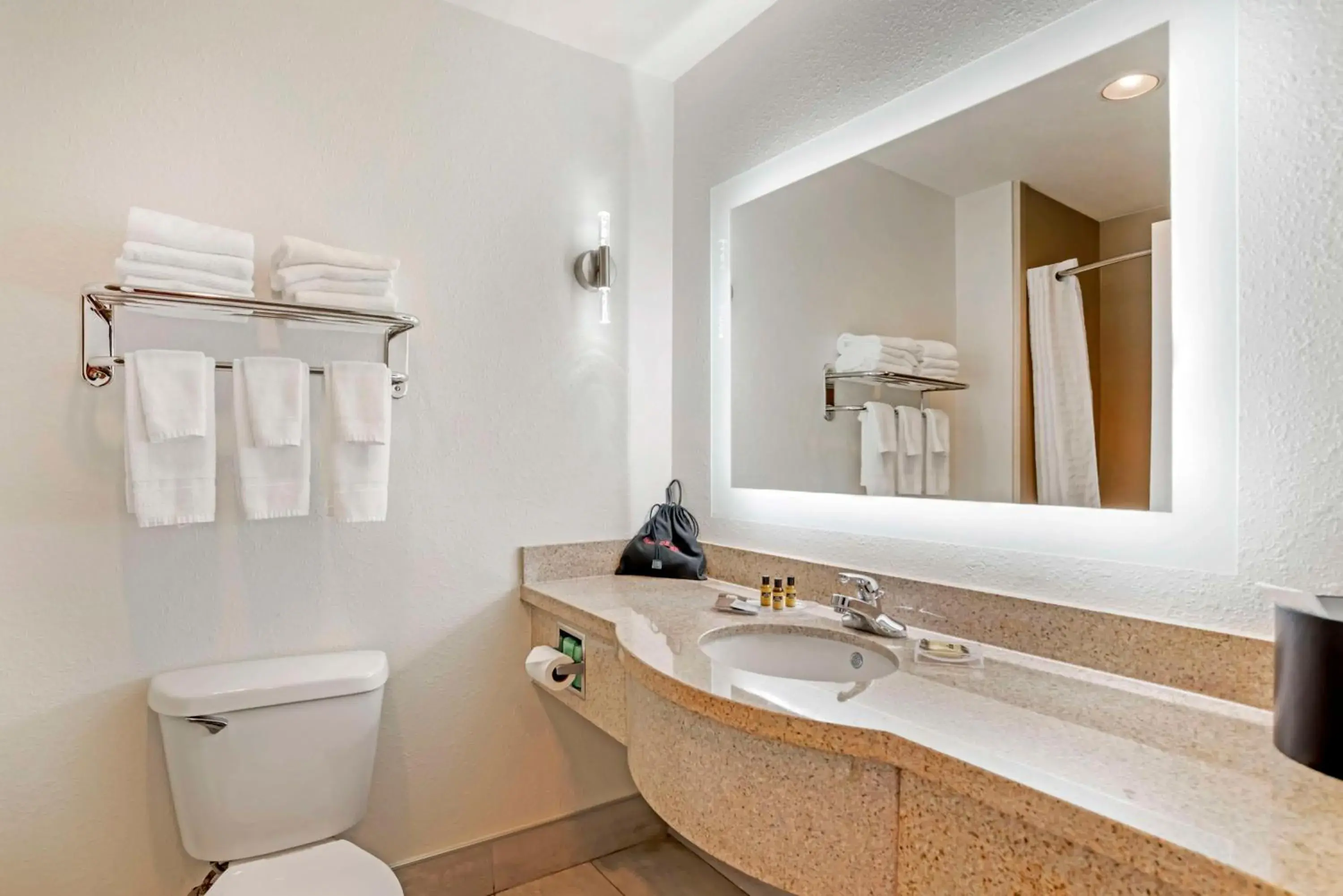 Bathroom in Best Western Plus Daphne Bathroom in Best Western Plus Daphne