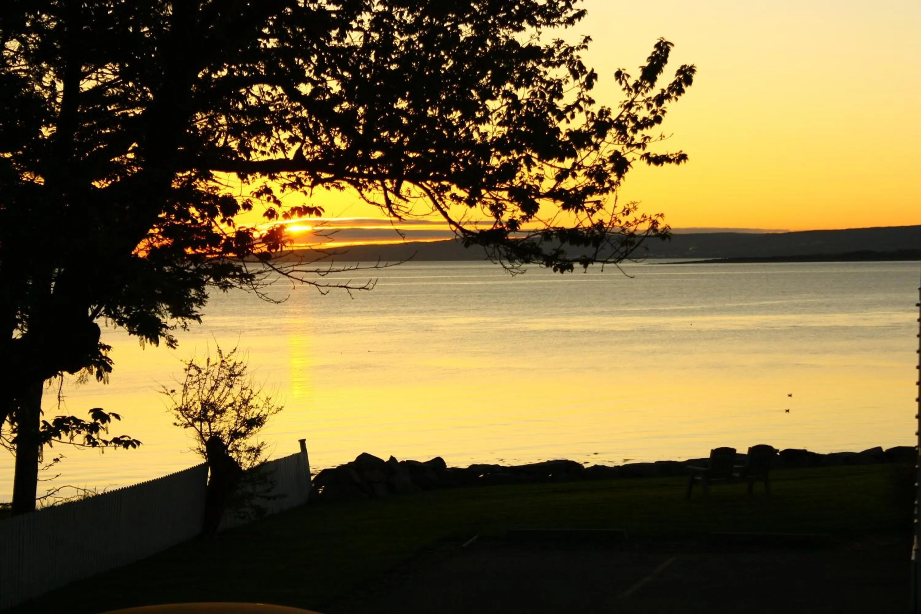 Other in Come from Away B&B