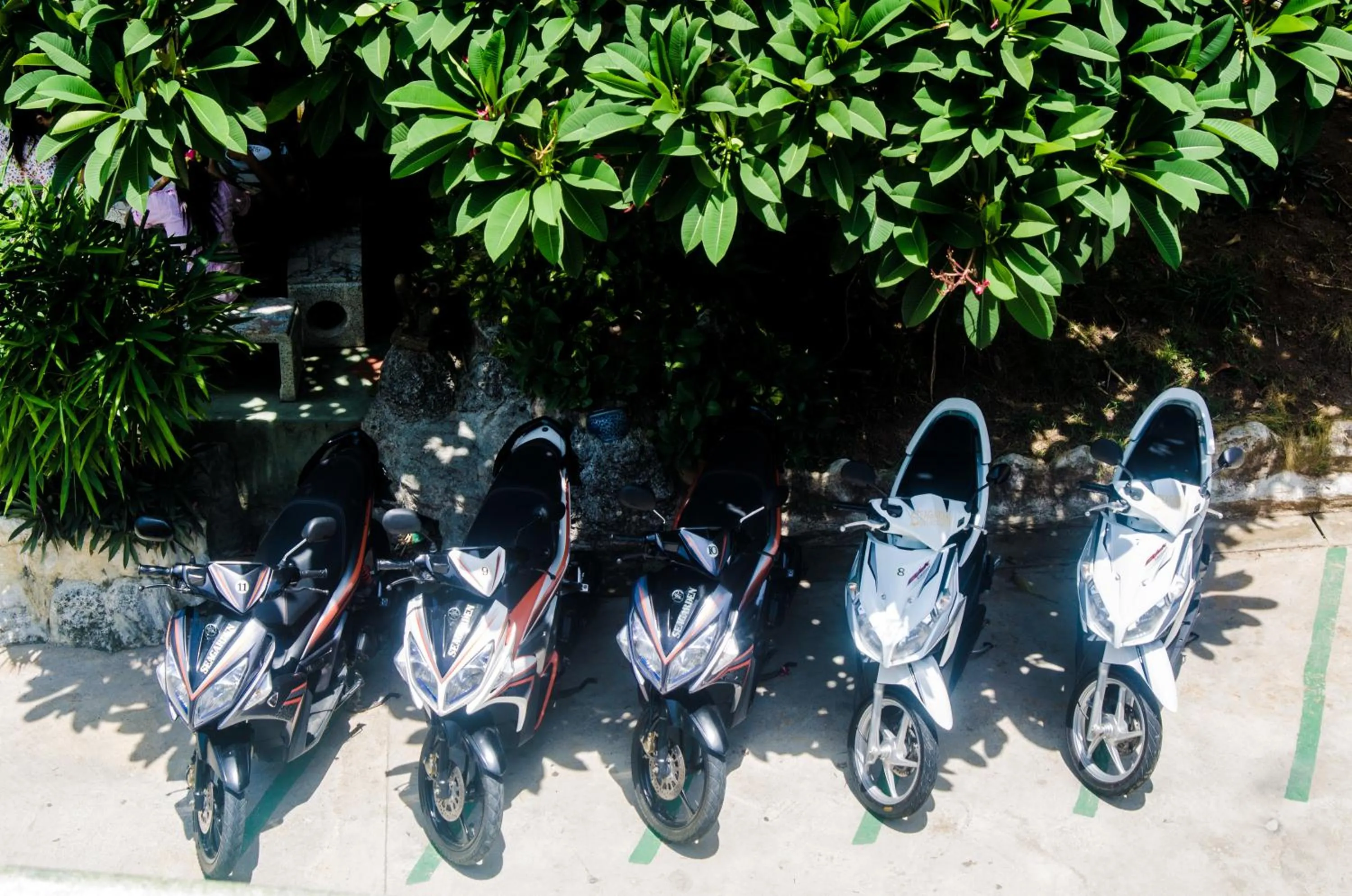Other in Sea Garden Resort & Spa, Haadrin