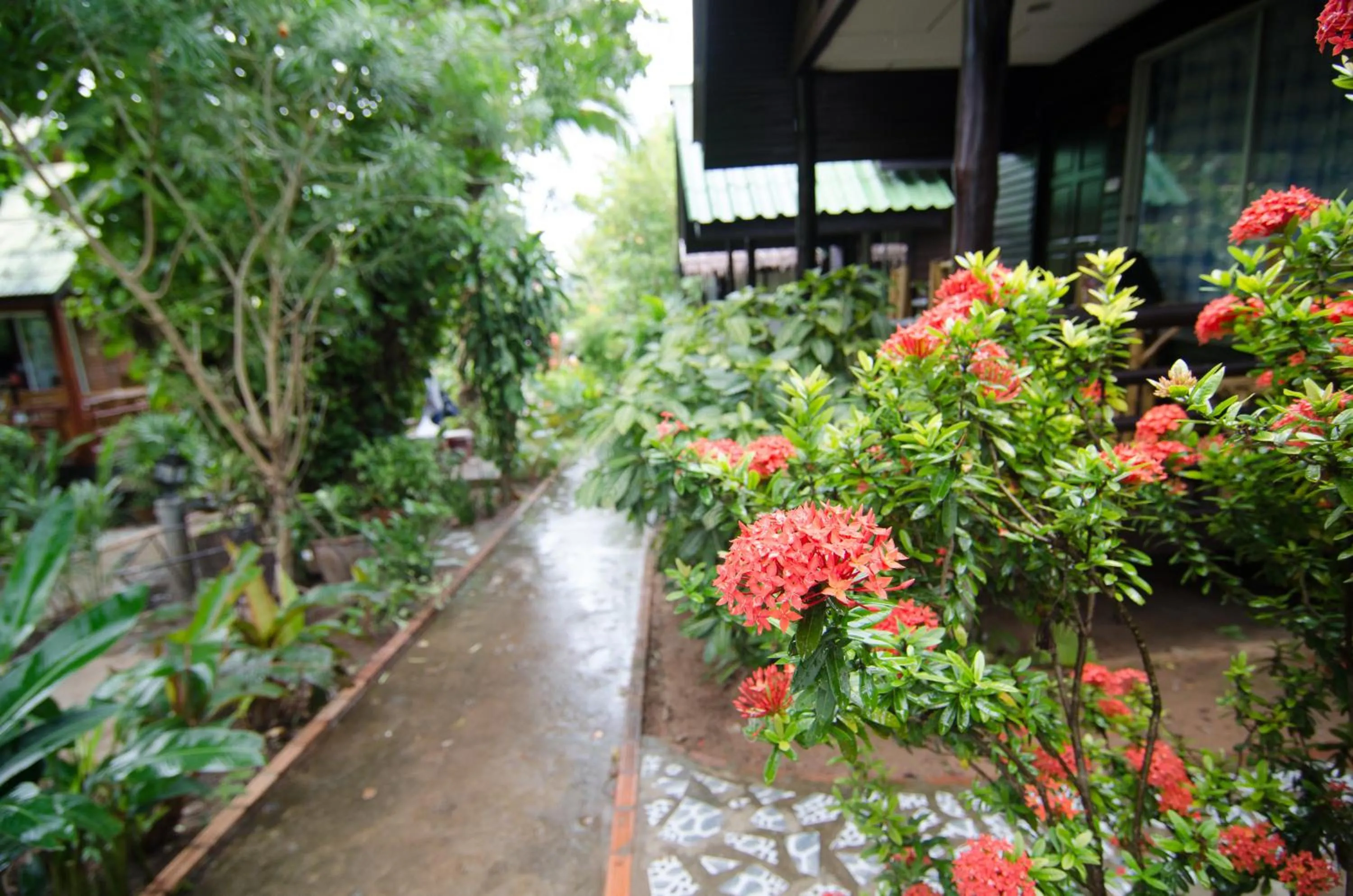 Garden in Sea Garden Resort & Spa, Haadrin