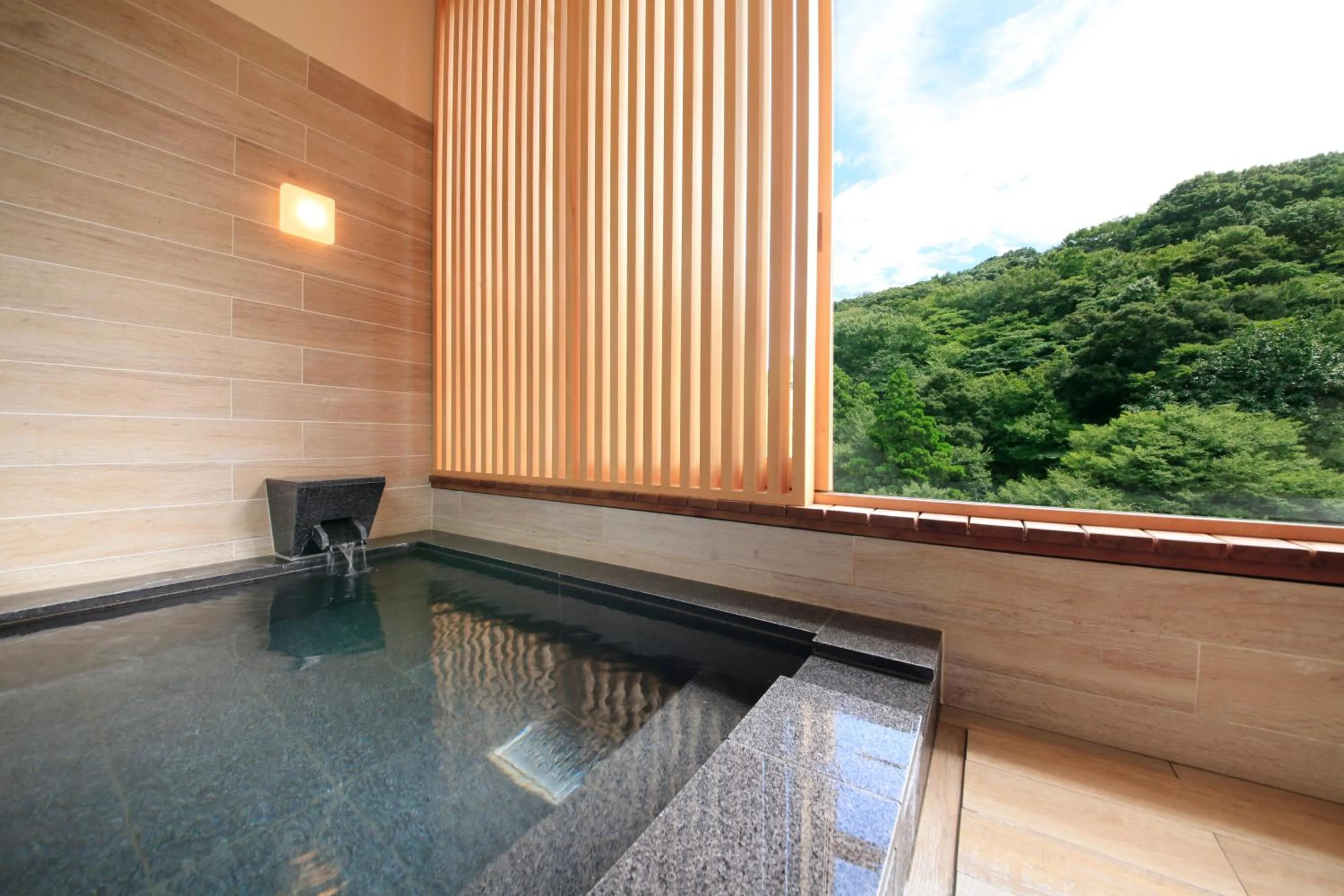 Hot Spring Bath in Hakone Suimeisou