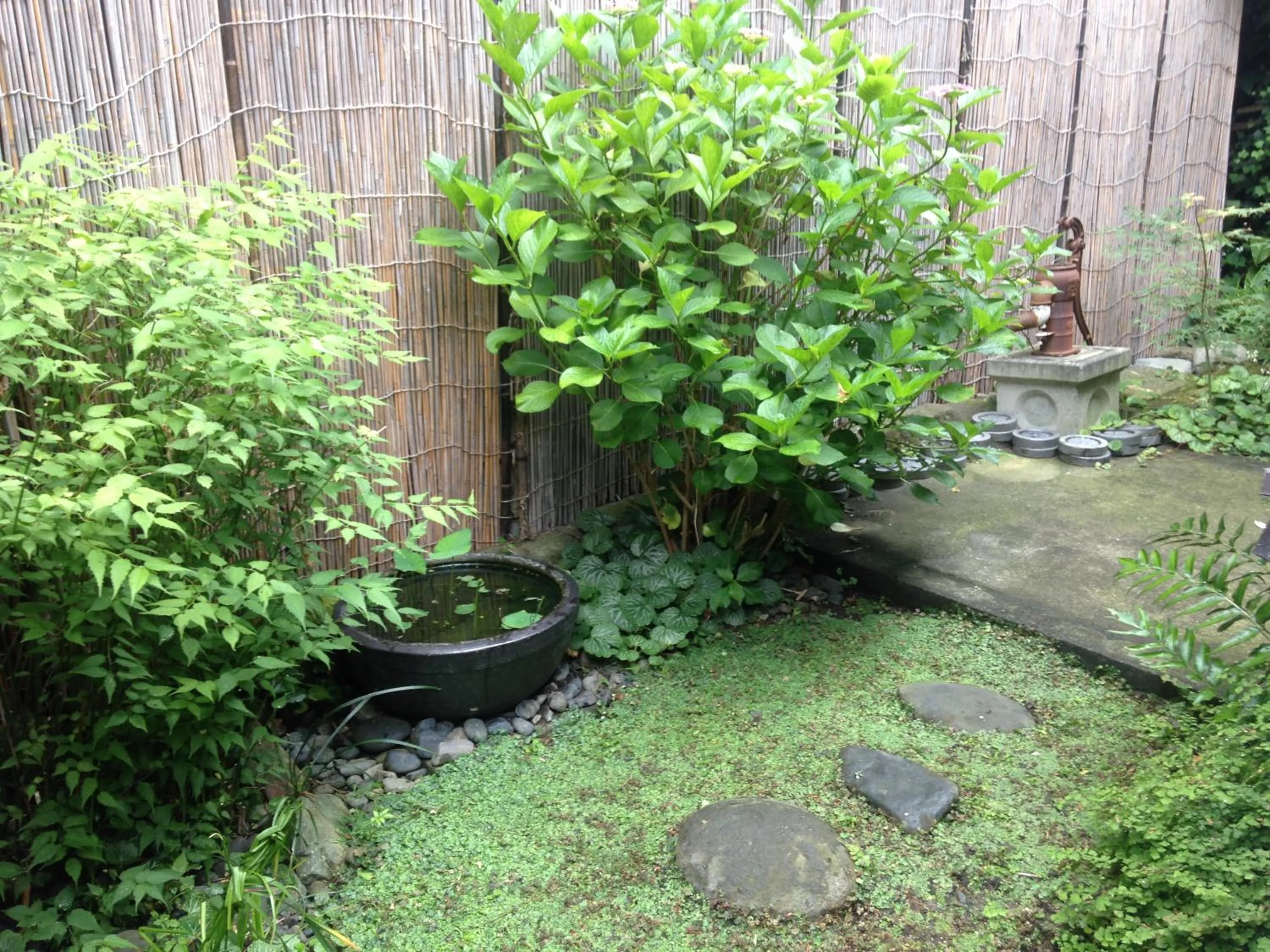 Garden view in Guest House Kamejikan -turtle time-