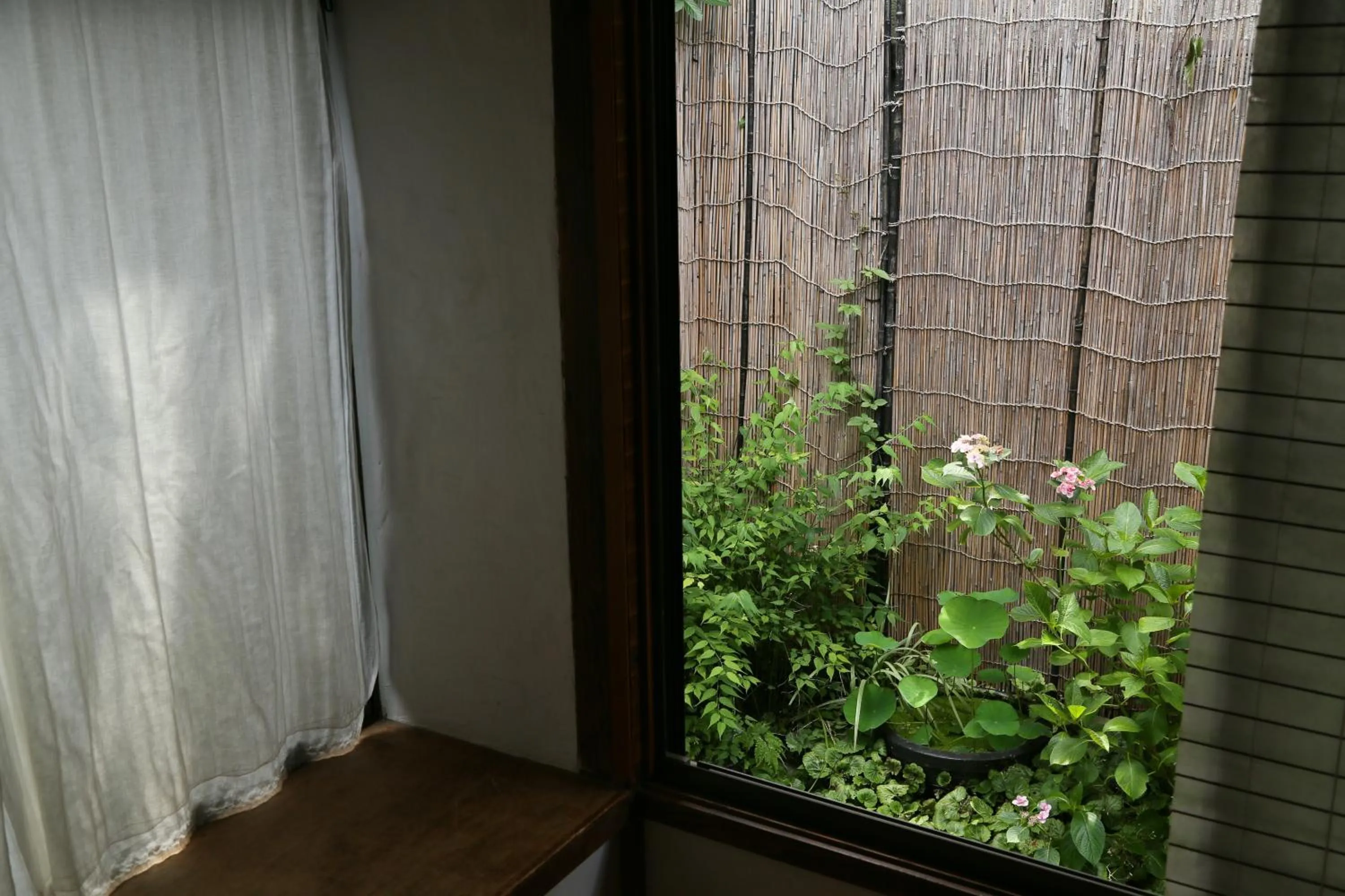 View (from property/room) in Guest House Kamejikan -turtle time-