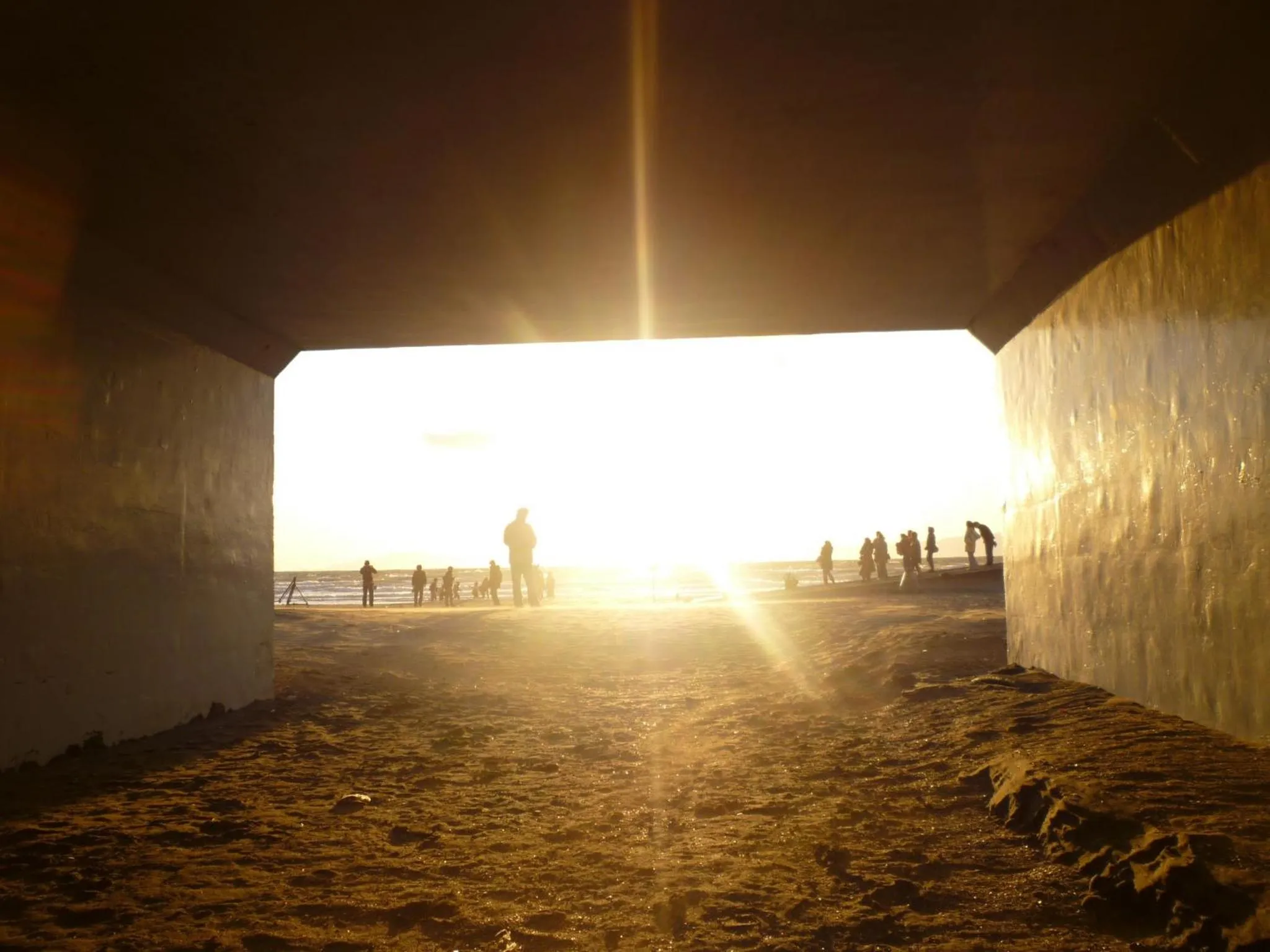 Off site in Guest House Kamejikan -turtle time-