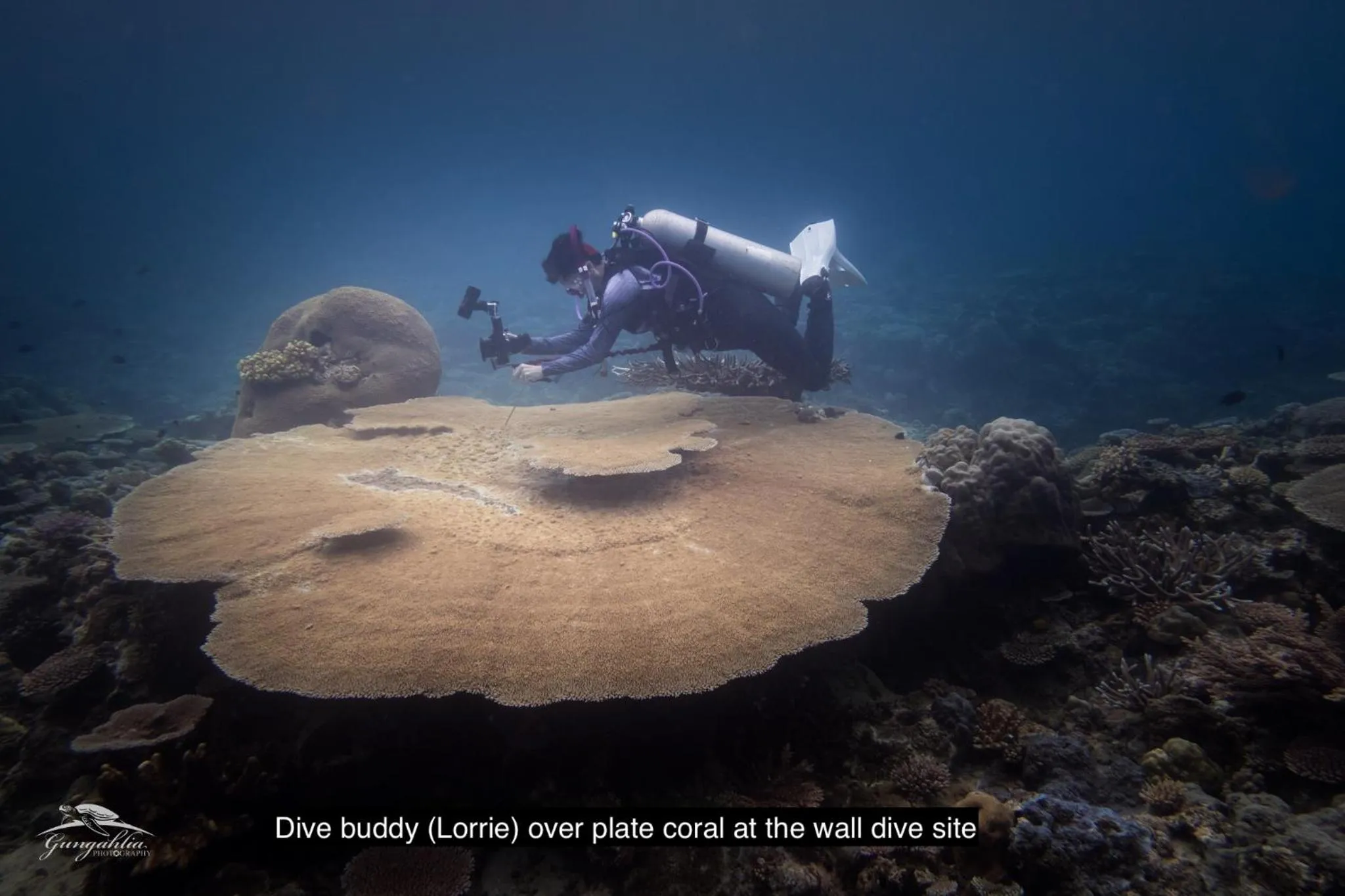 Activities in Hideaway Island Resort