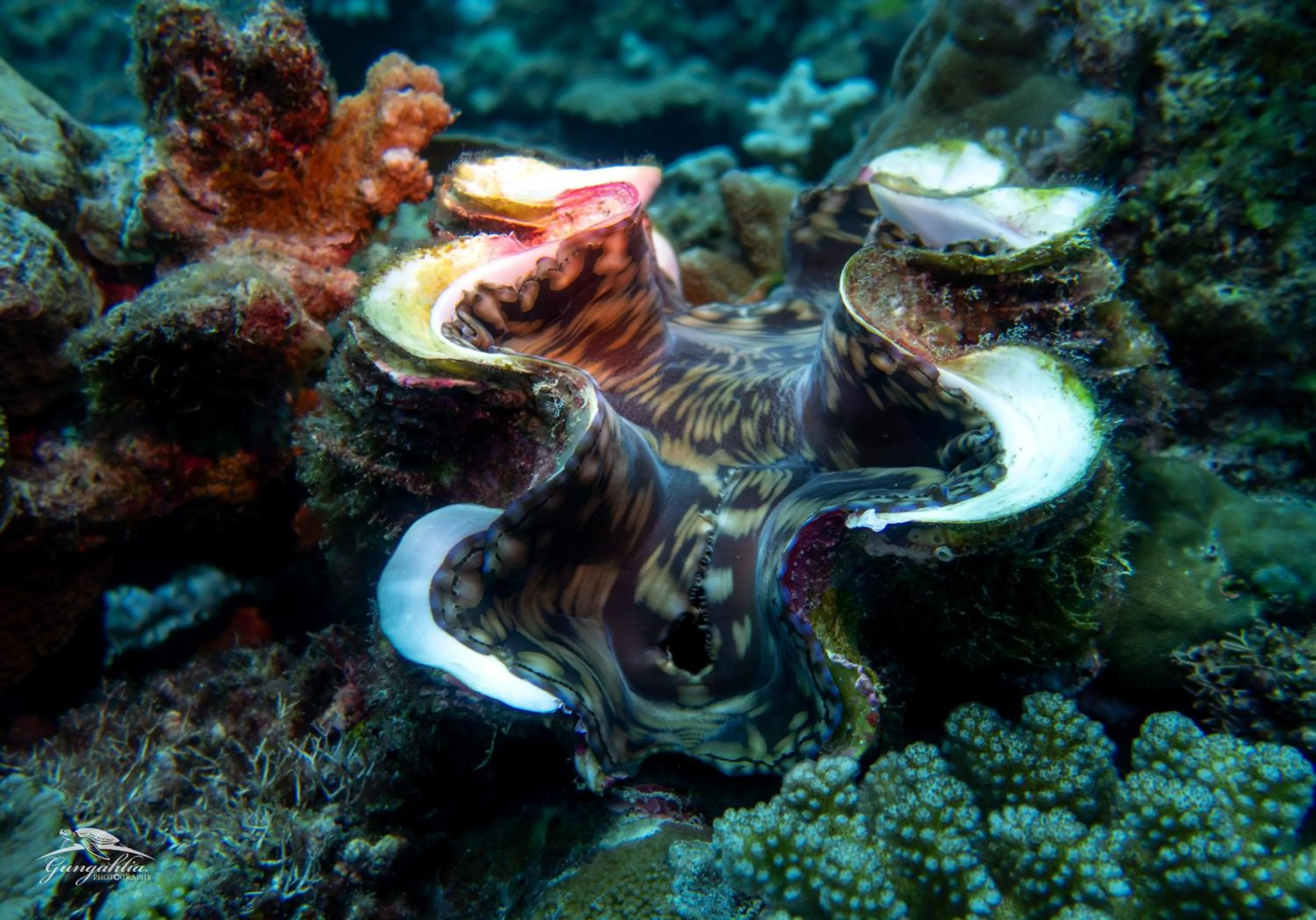 Activities in Hideaway Island Resort