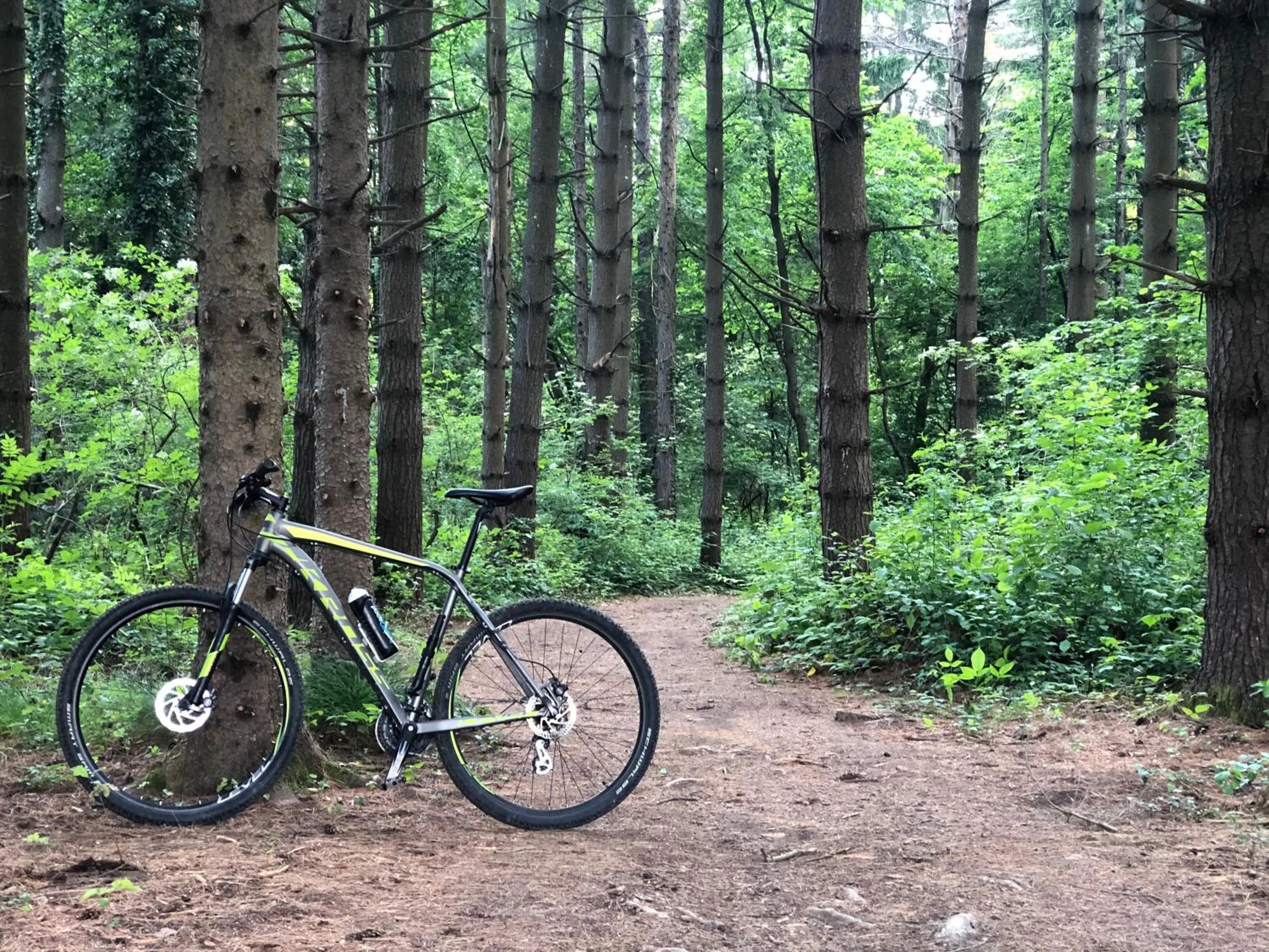 Spring in 16 Lakes Hotel