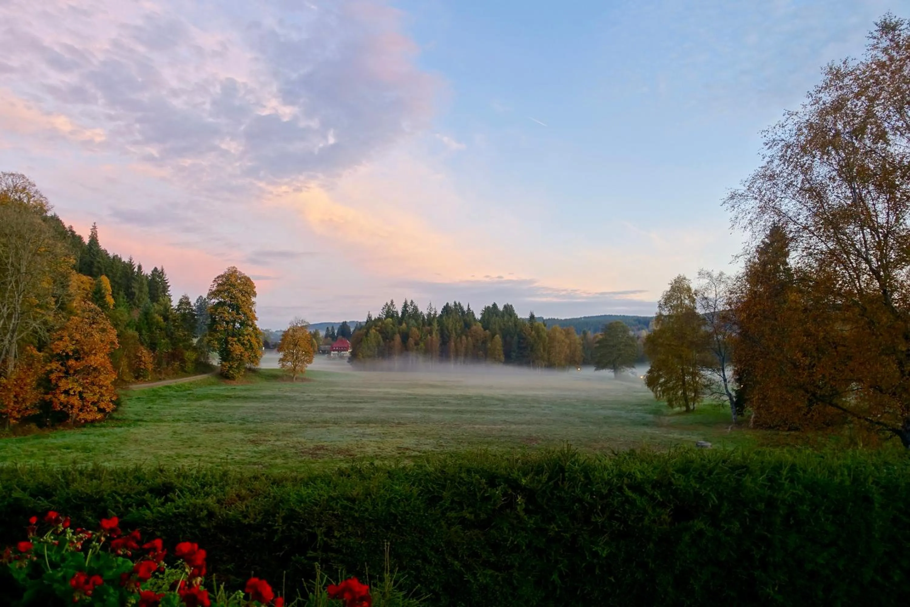 View (from property/room) in Hollhouse - Bed & Breakfast