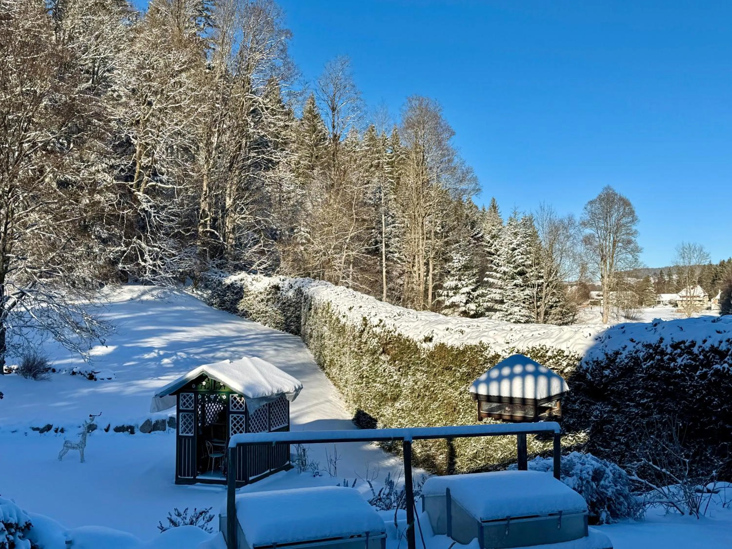 Natural landscape in Hollhouse - Bed & Breakfast