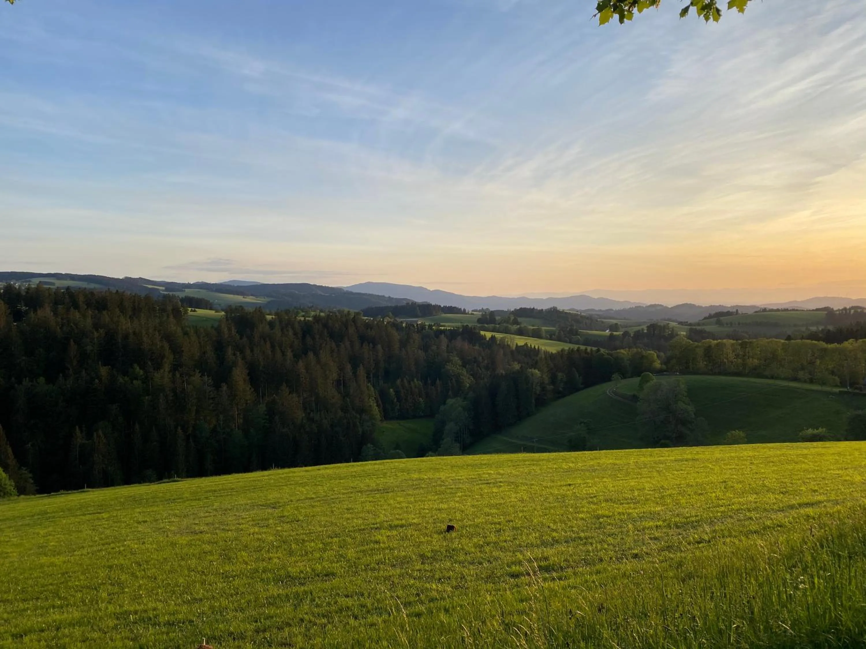 Natural landscape in Hollhouse - Bed & Breakfast