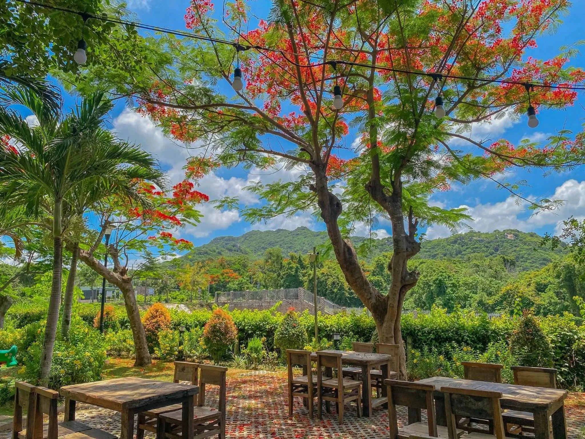 Restaurant/places to eat in Long Hải Channel Beach Resort