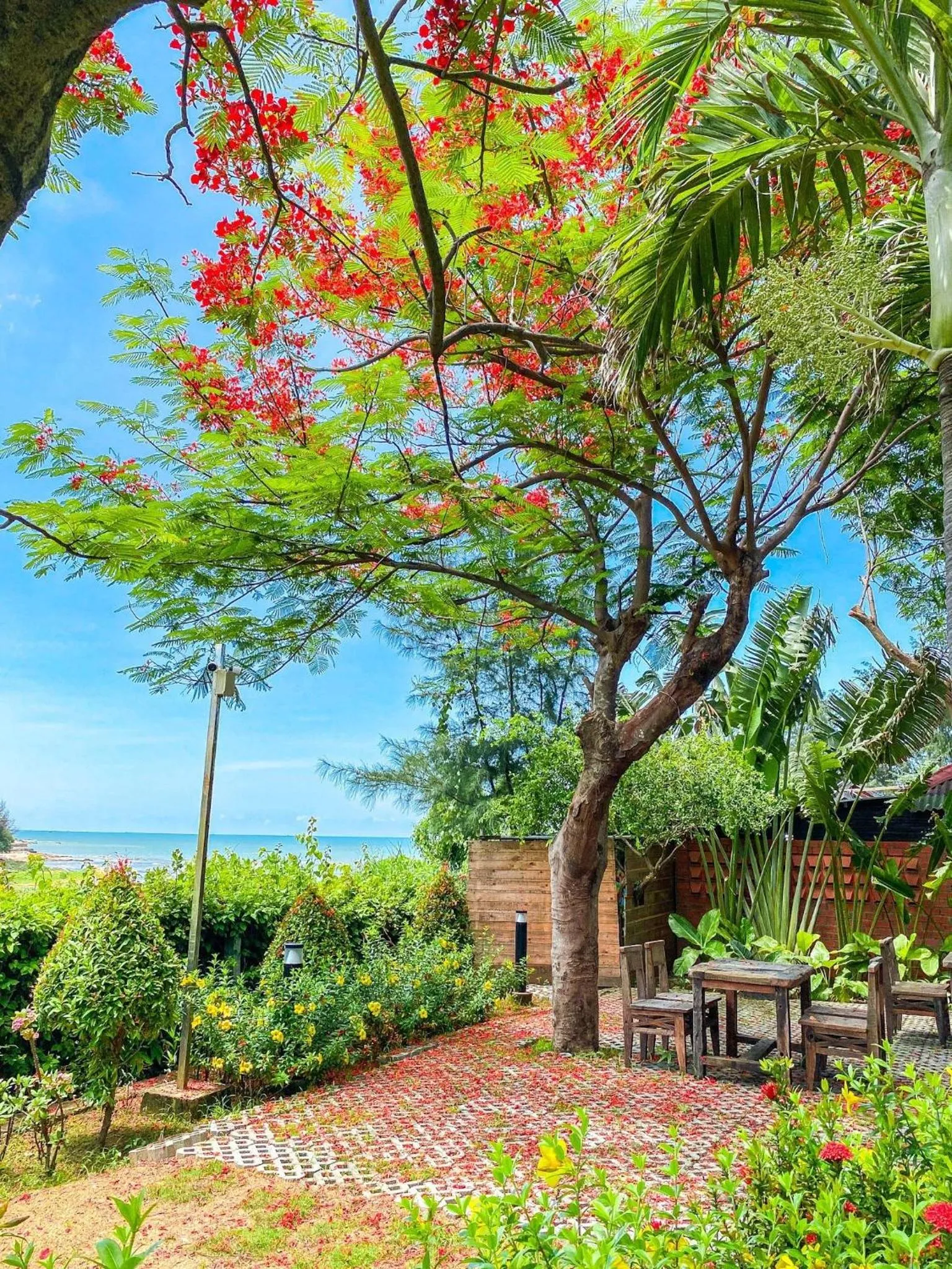 Long Hải Channel Beach Resort