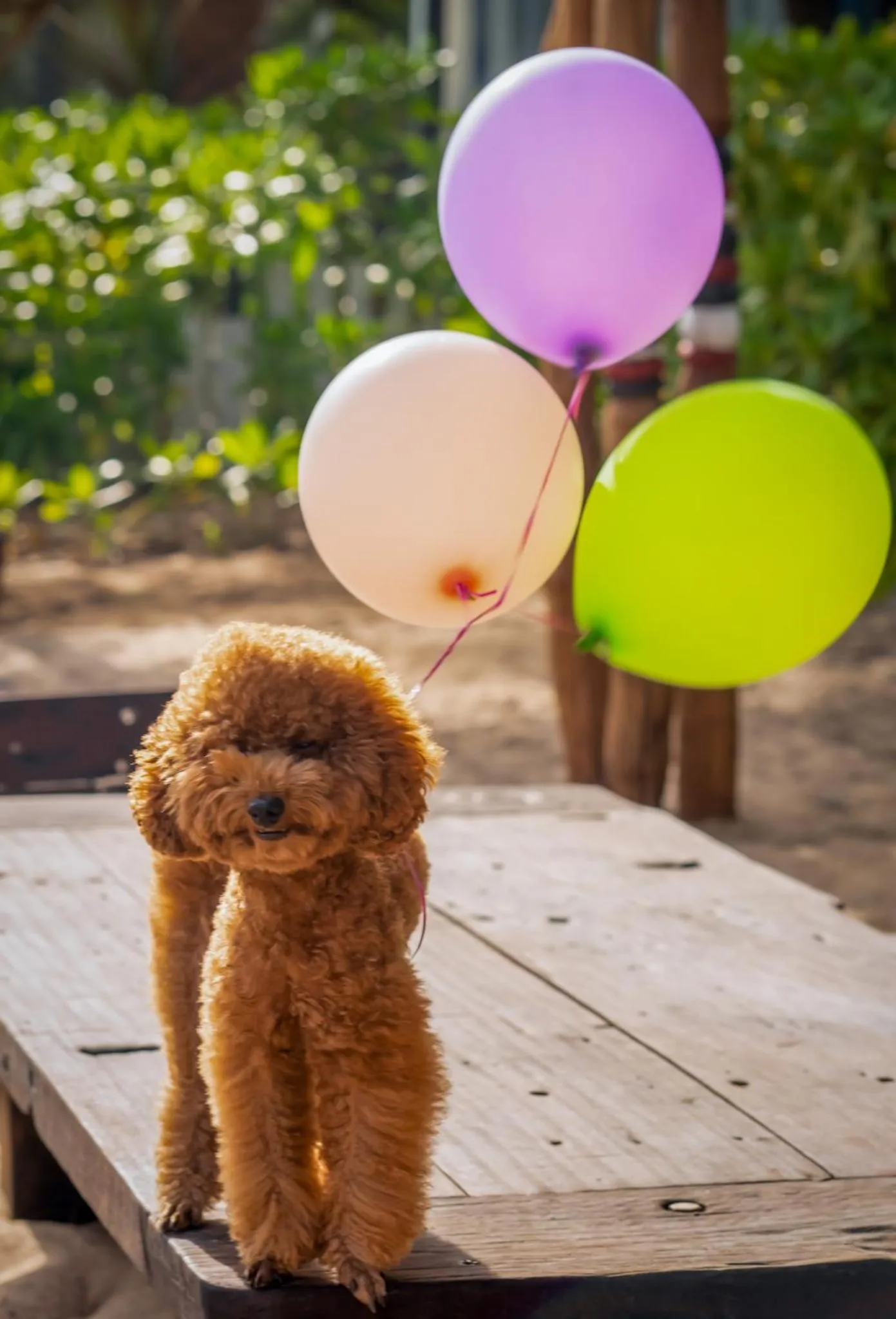 Restaurant/places to eat in Long Hải Channel Beach Resort