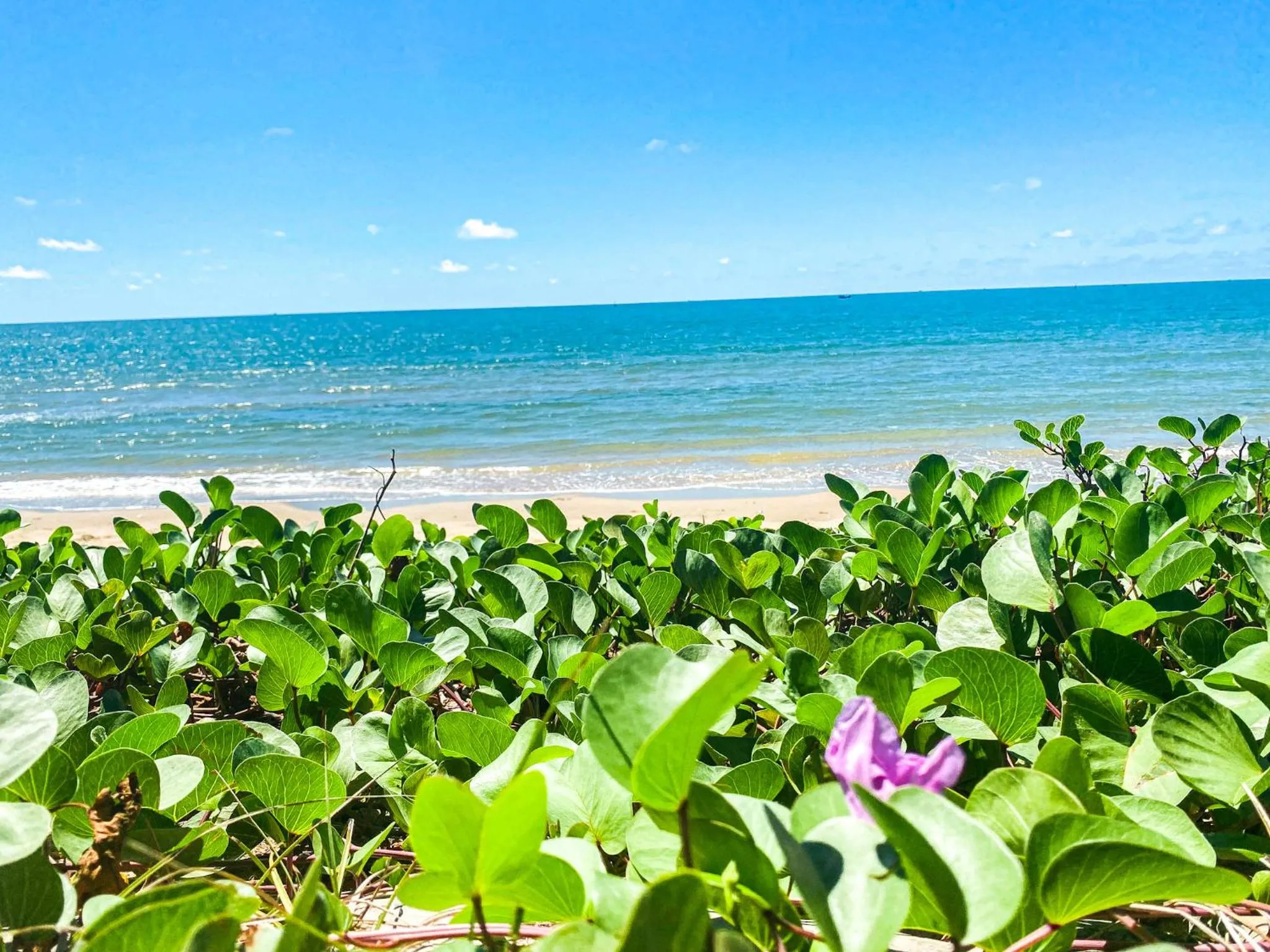 Long Hải Channel Beach Resort