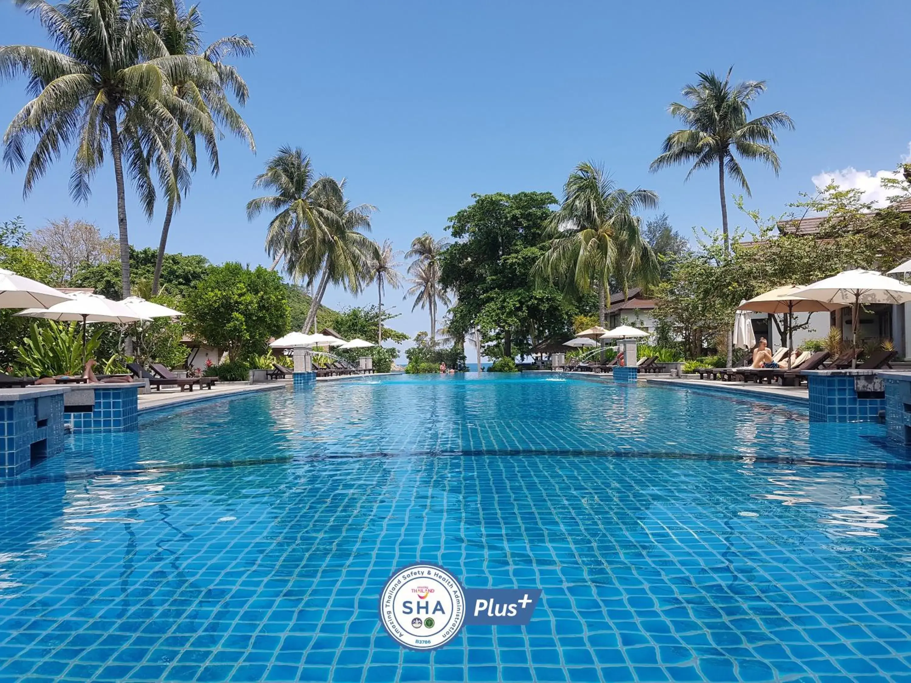 Swimming pool in Maehaad Bay Resort - SHA Plus Swimming pool in Maehaad Bay Resort - SHA Plus