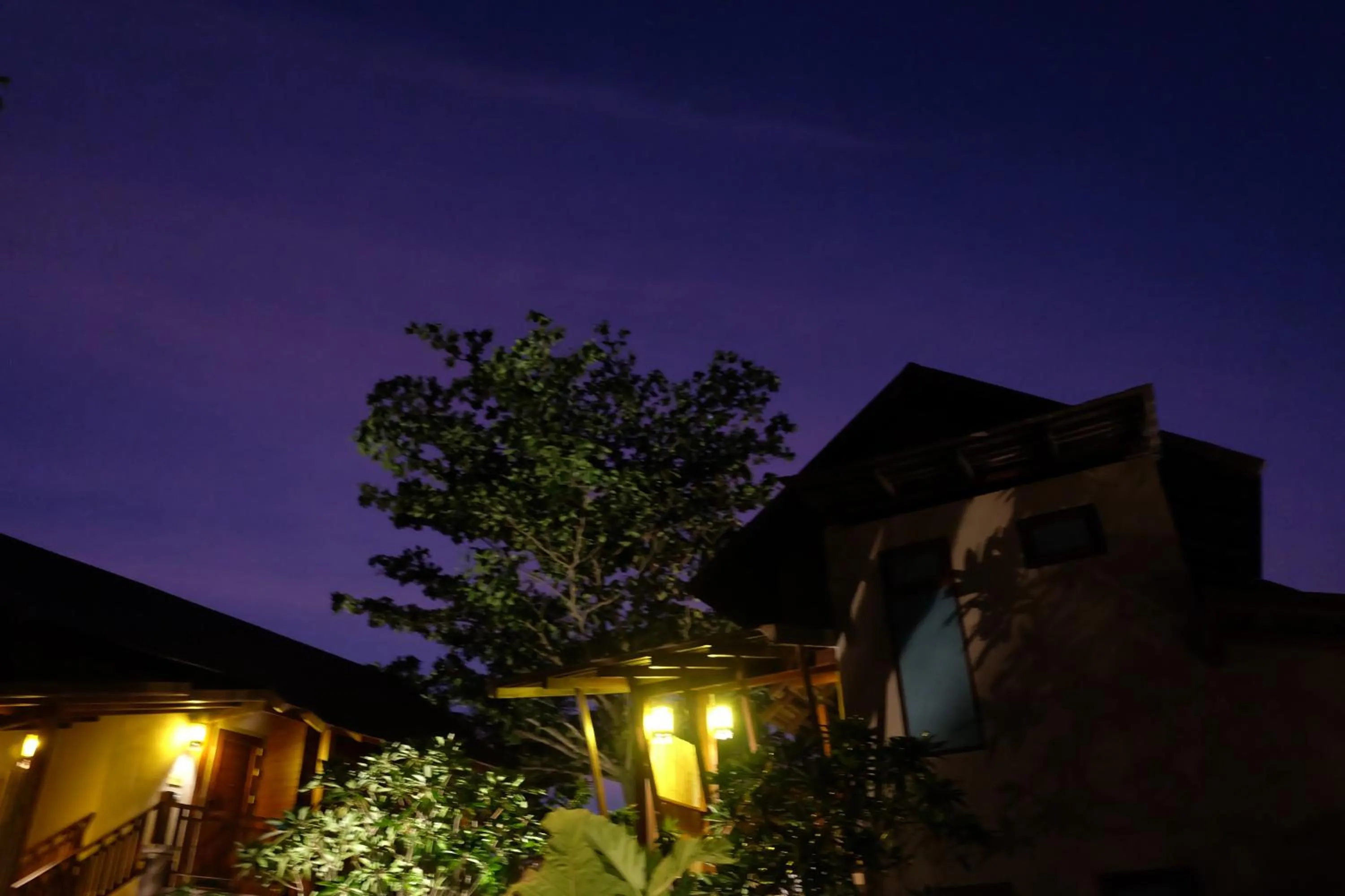 Night in Koh Ma Beach Resort - SHA Extra Plus