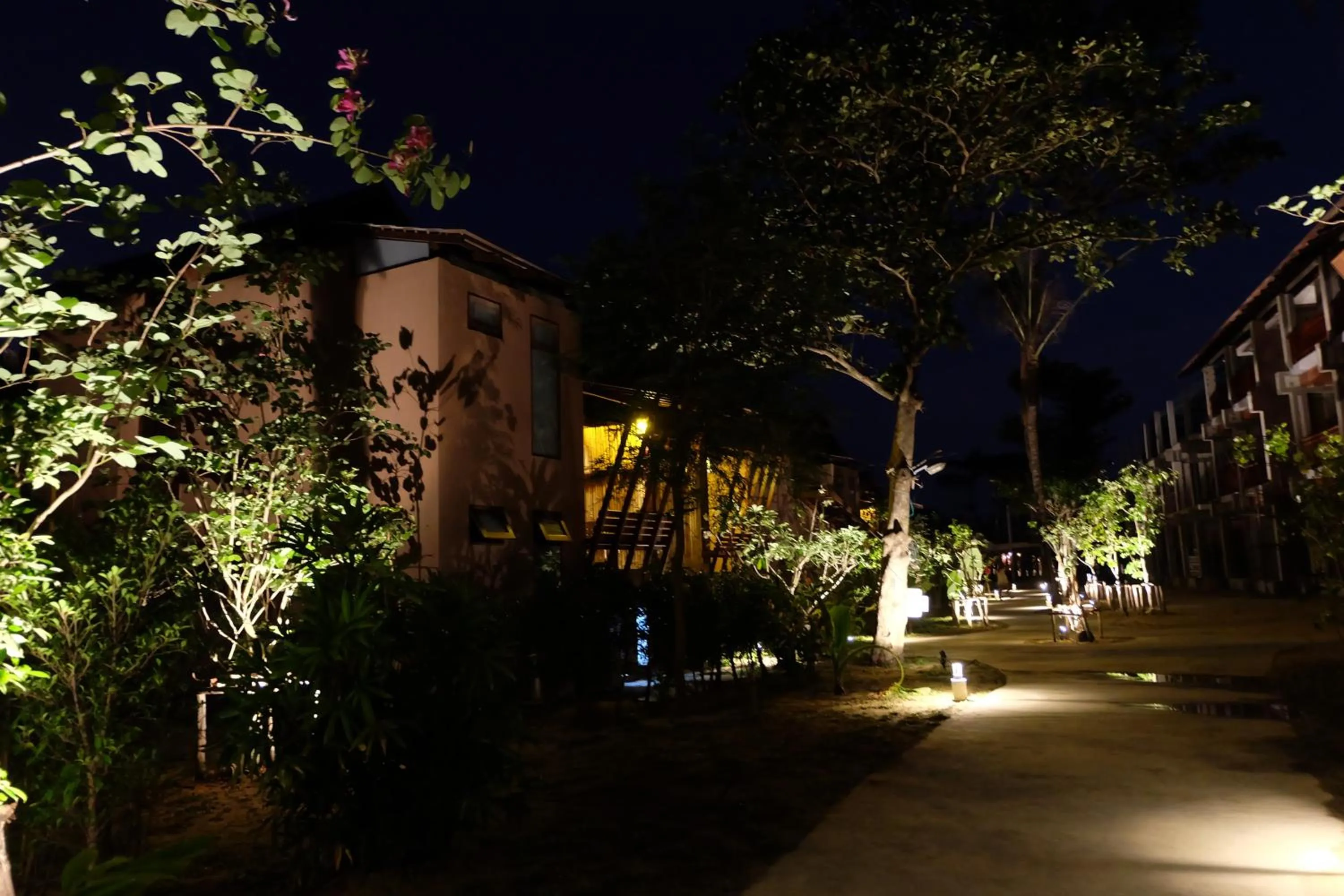 Night in Koh Ma Beach Resort - SHA Extra Plus
