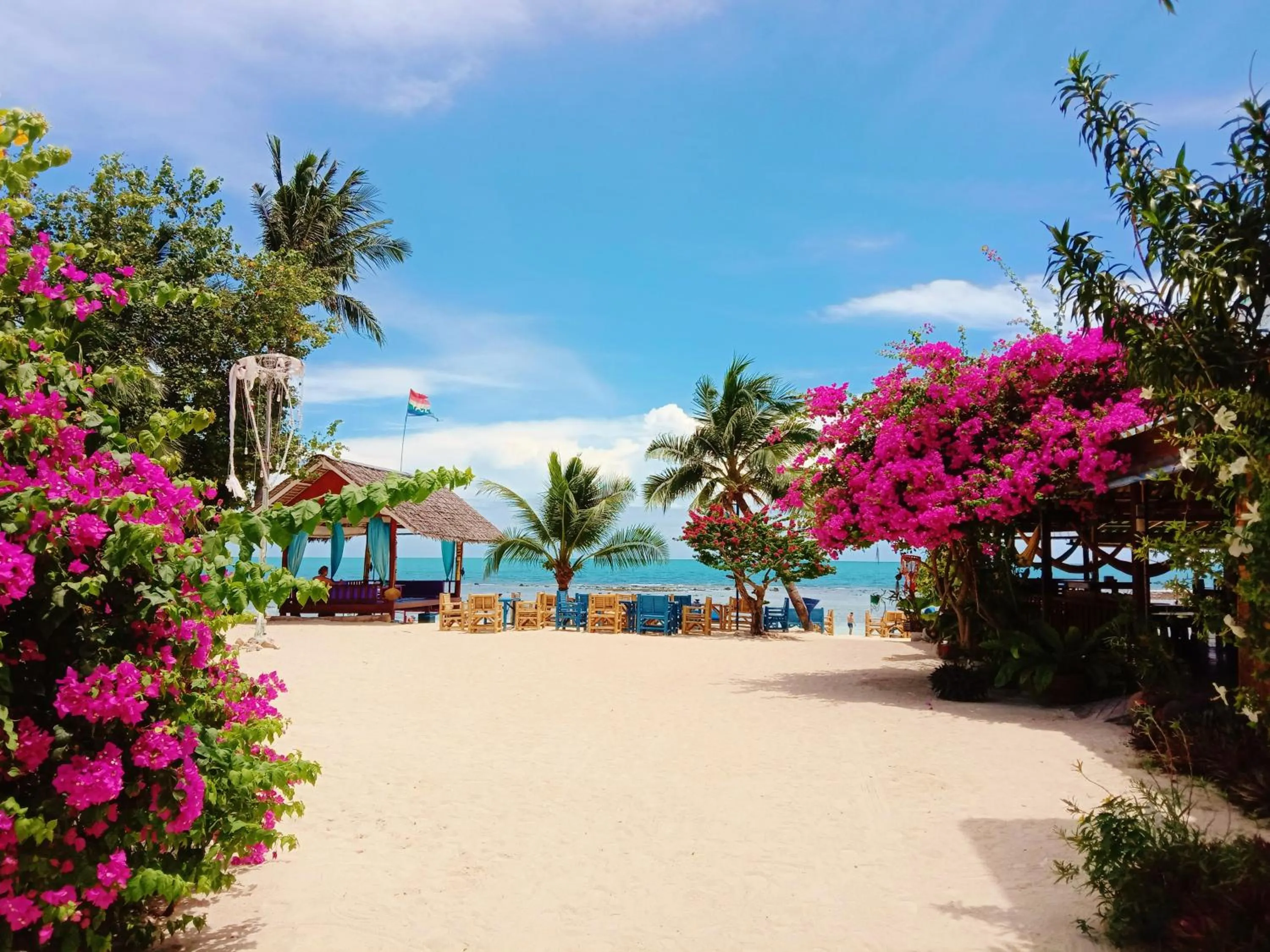 Garden view in Seaboard Bungalow