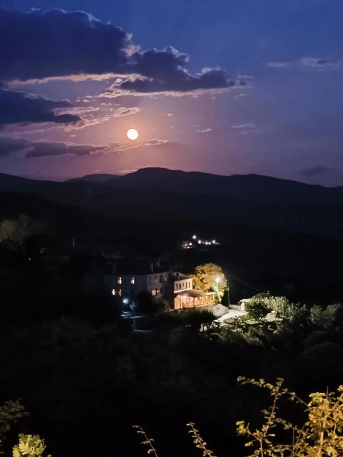 Guesthouse Selini