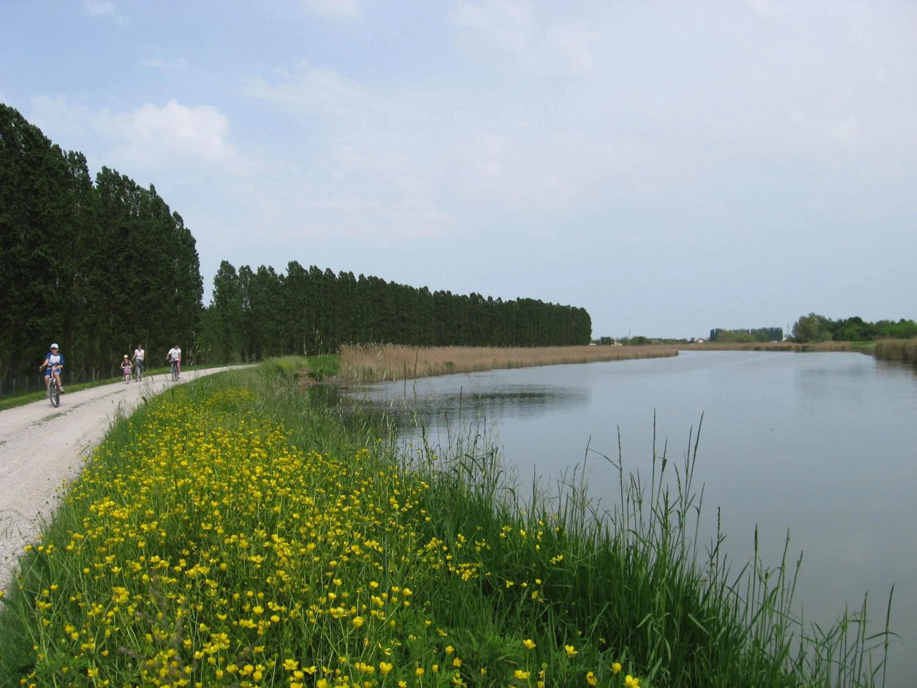 Area and facilities in B&B Garnì Da Vito