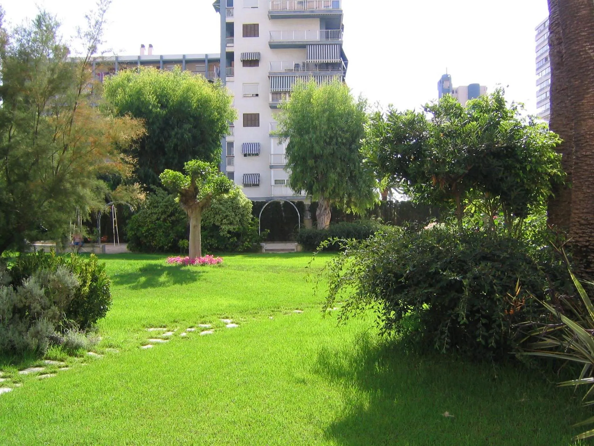 Spring in Apartamentos Concorde