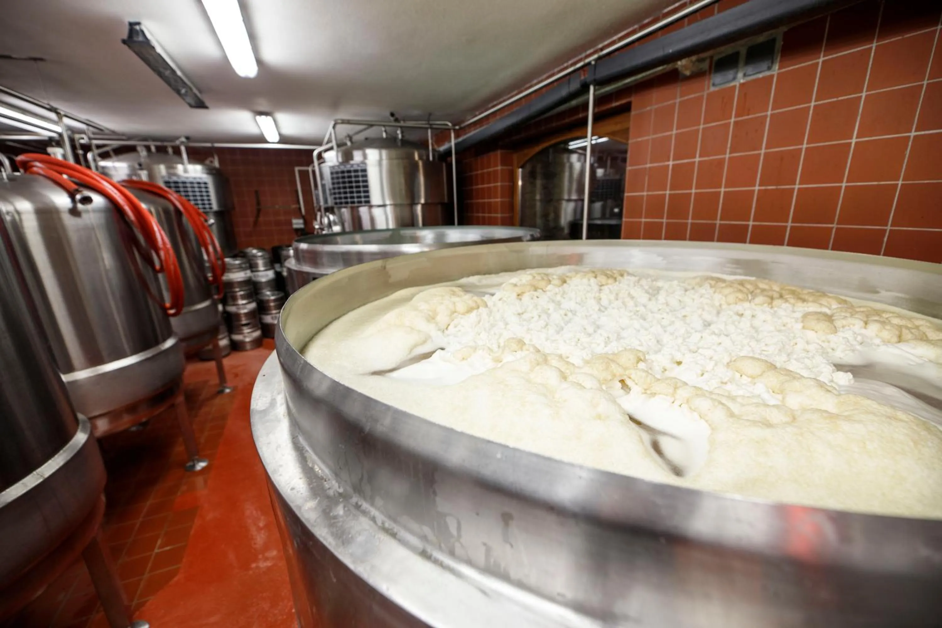 Property building in Hotel Pivovarská bašta