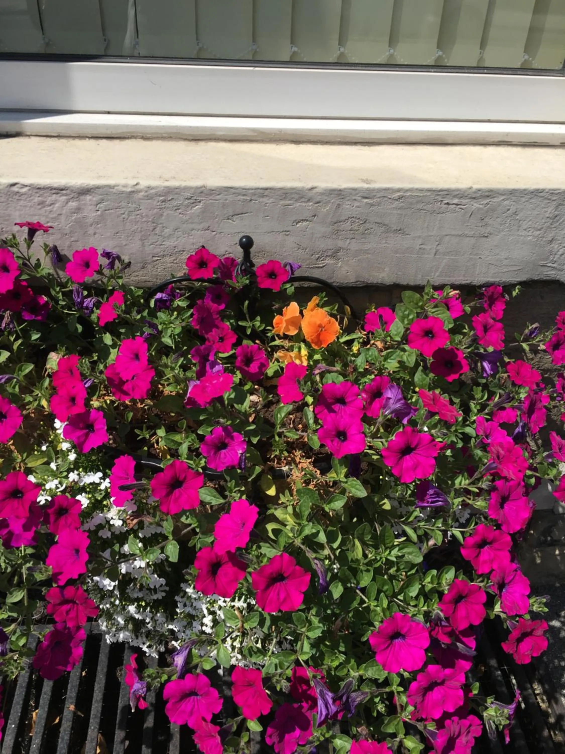 Highfield Guesthouse