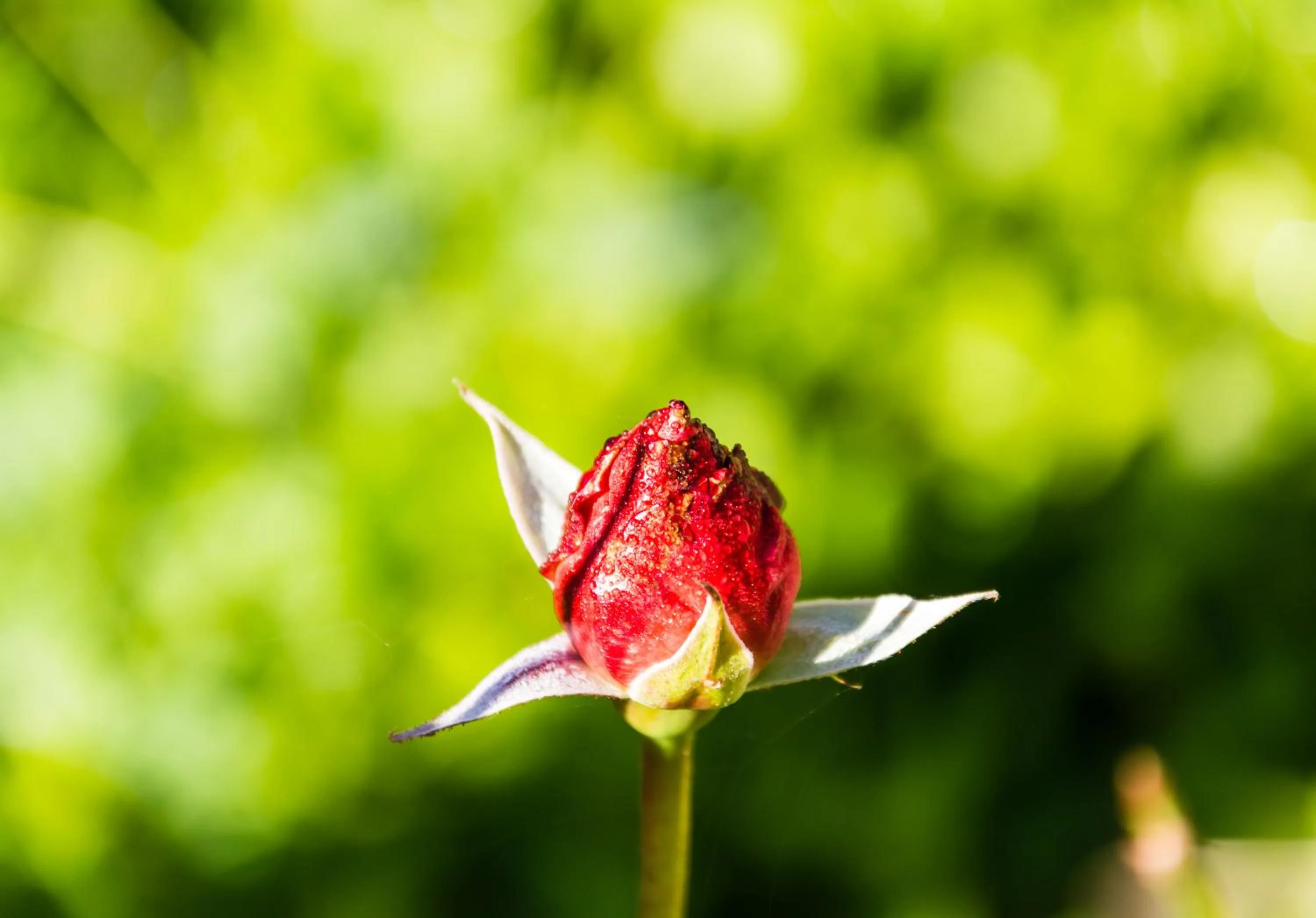 Facade/entrance in Entre Os Ríos - Casa Rural y Enoturismo