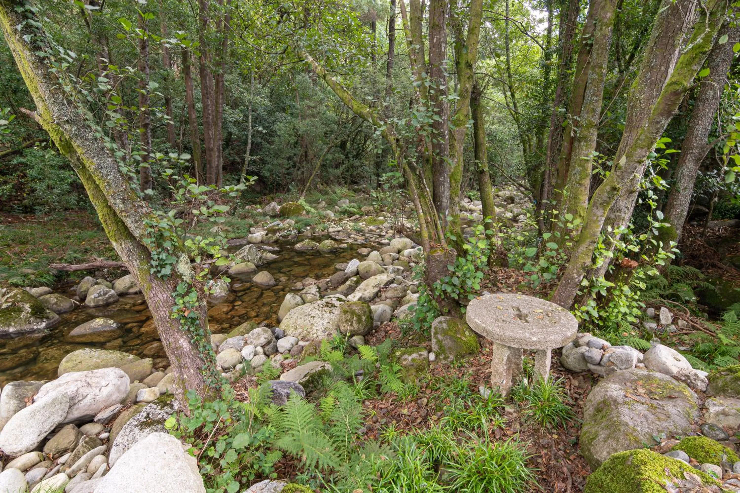 View (from property/room) in Entre Os Ríos - Casa Rural y Enoturismo