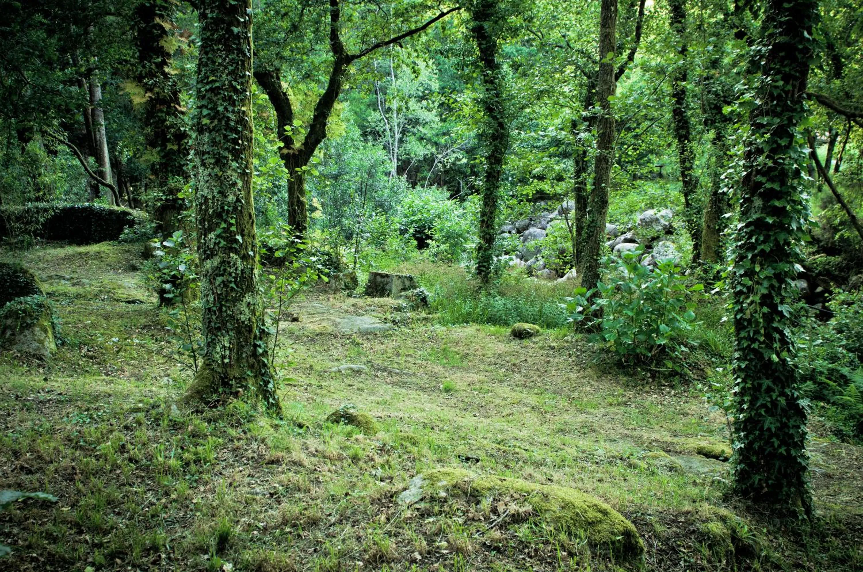 Natural landscape in Entre Os Ríos - Casa Rural y Enoturismo