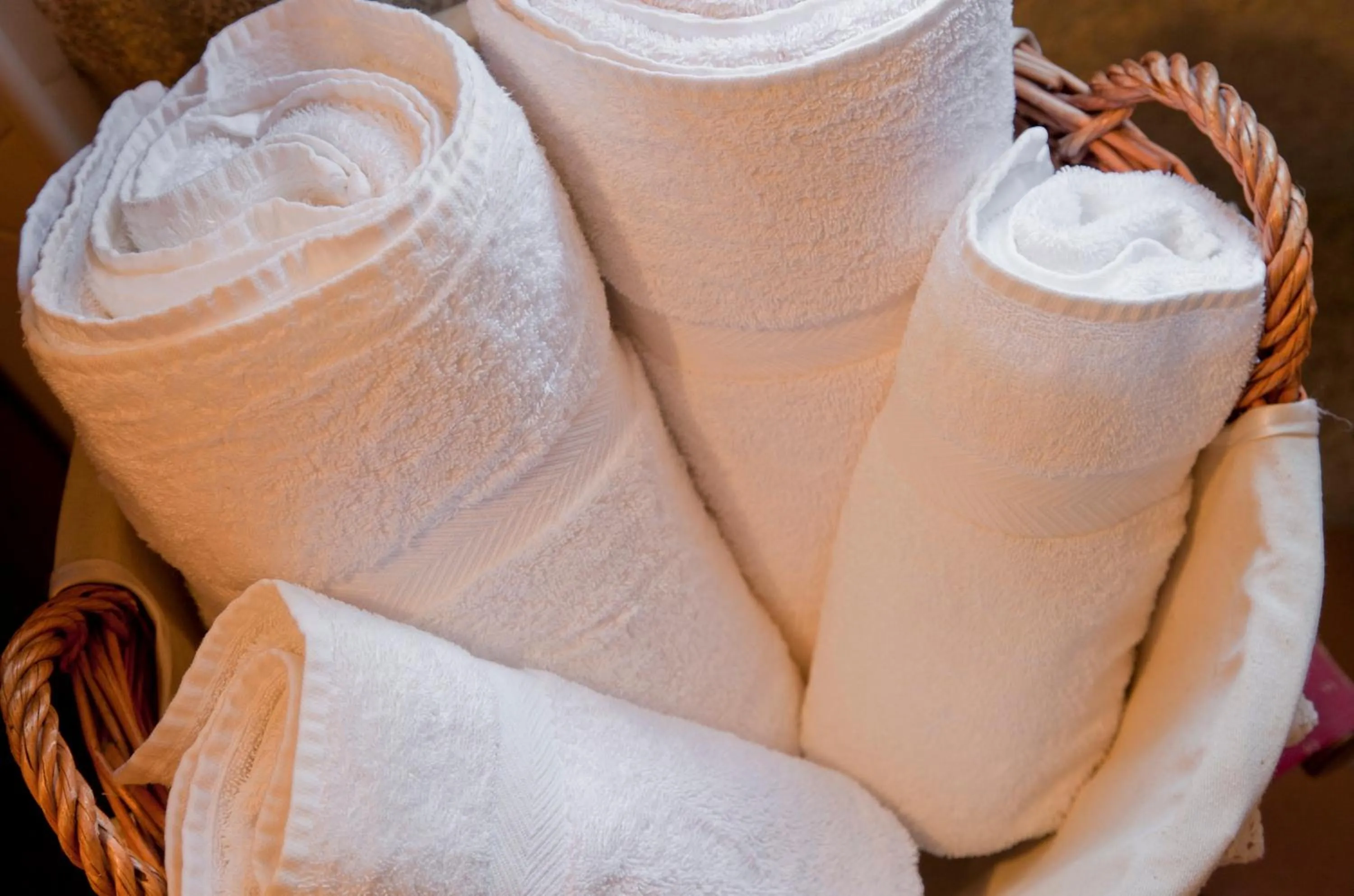 Other in Entre Os Ríos - Casa Rural y Enoturismo