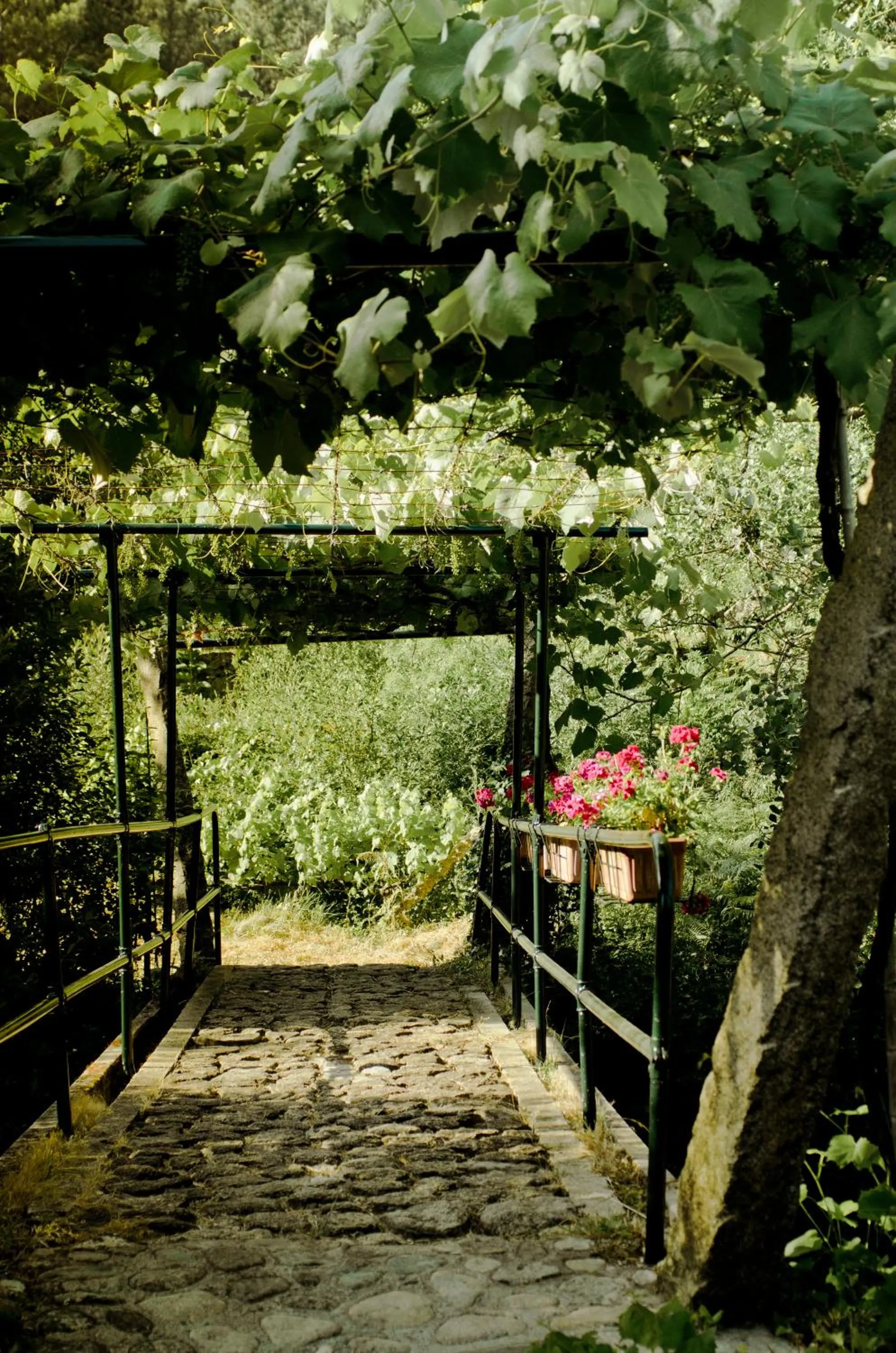 Area and facilities in Entre Os Ríos - Casa Rural y Enoturismo