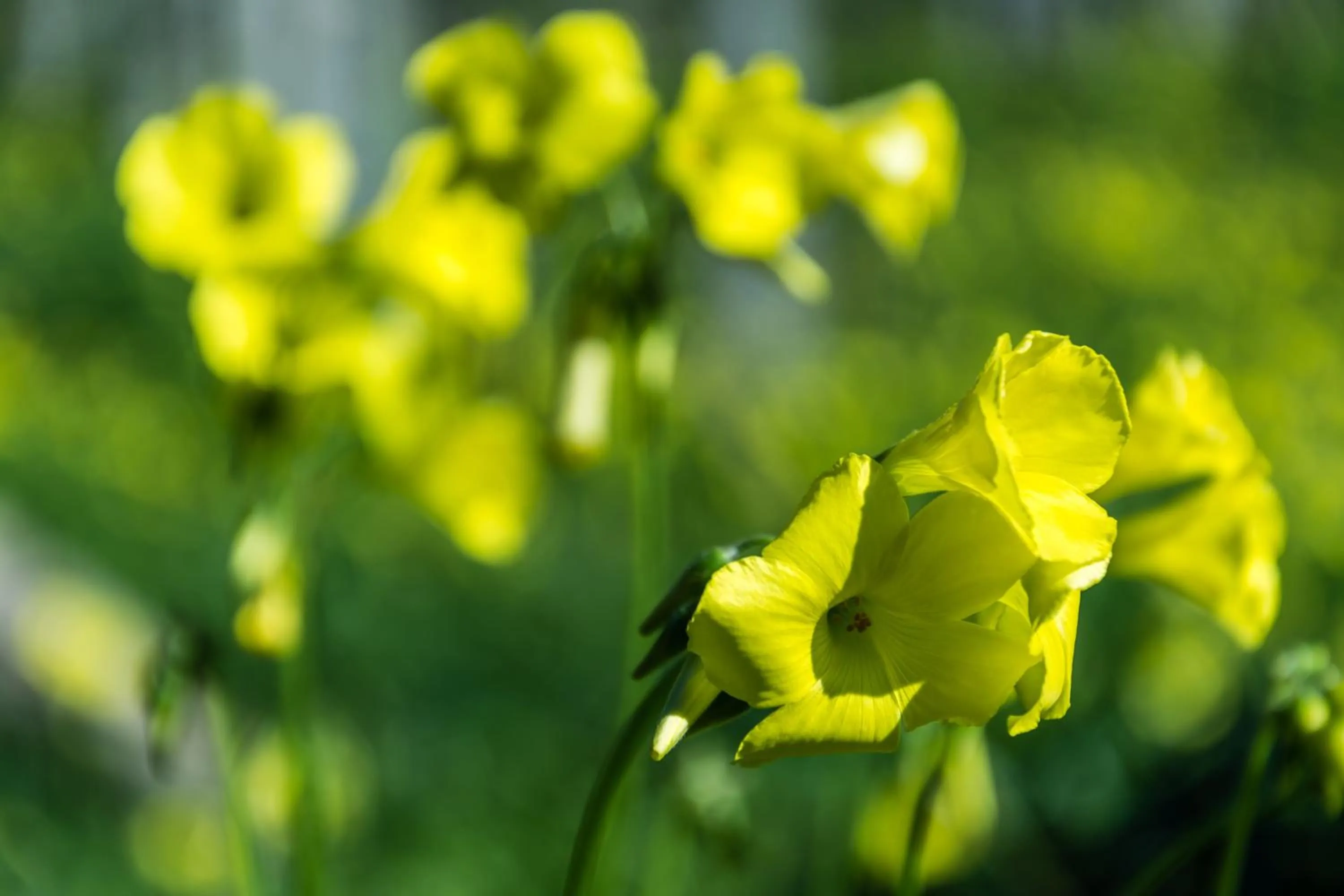 Facade/entrance in Entre Os Ríos - Casa Rural y Enoturismo