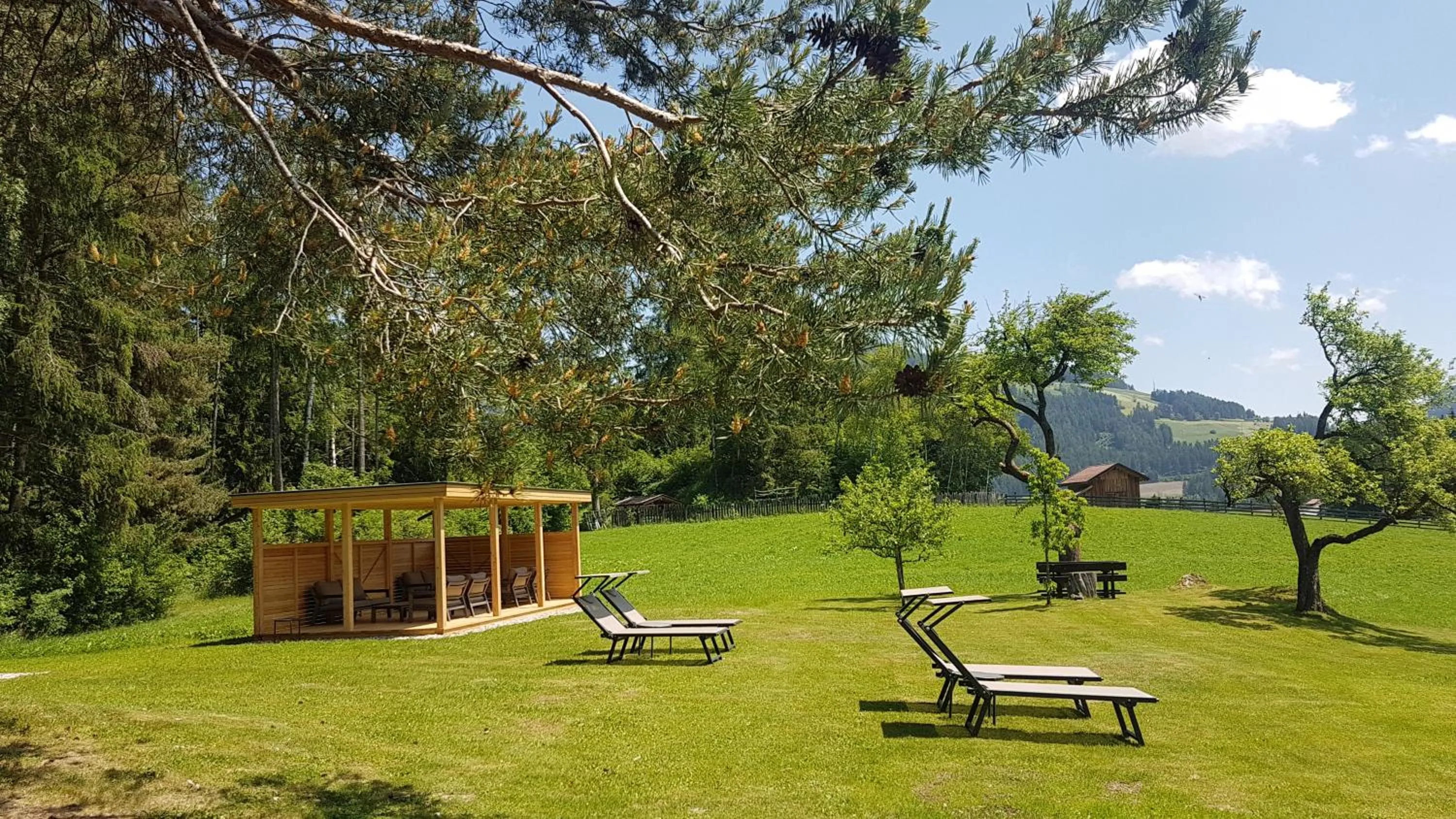 Garden in Hotel Scherer