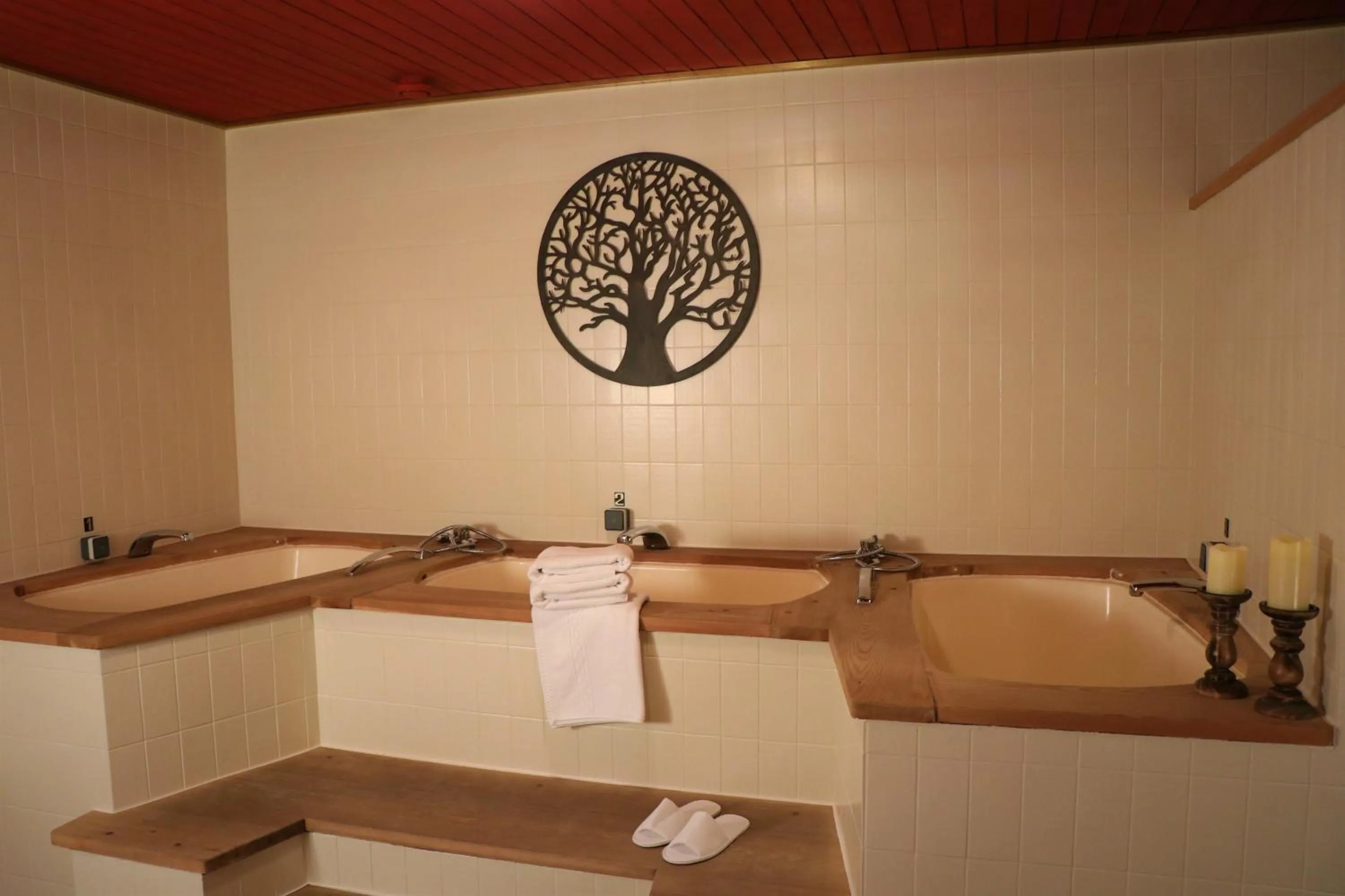 Hot Tub in Hotel Scherer