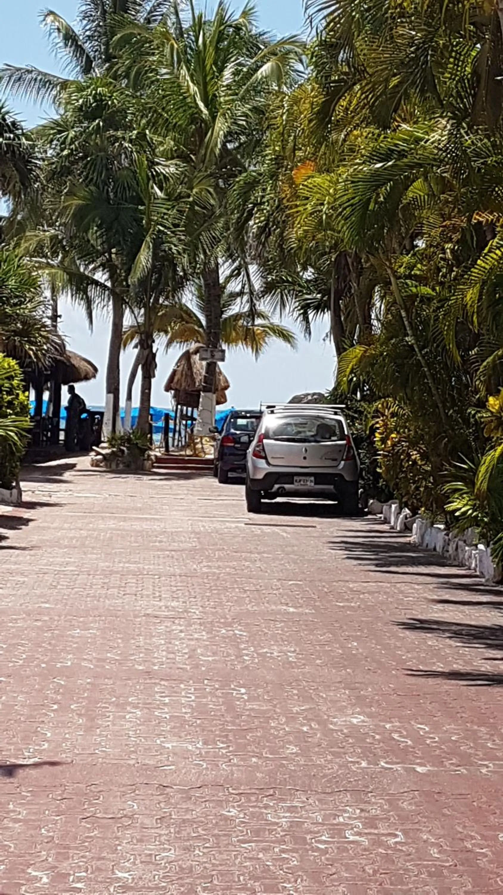 Garden view, Beach in Costa del Mar