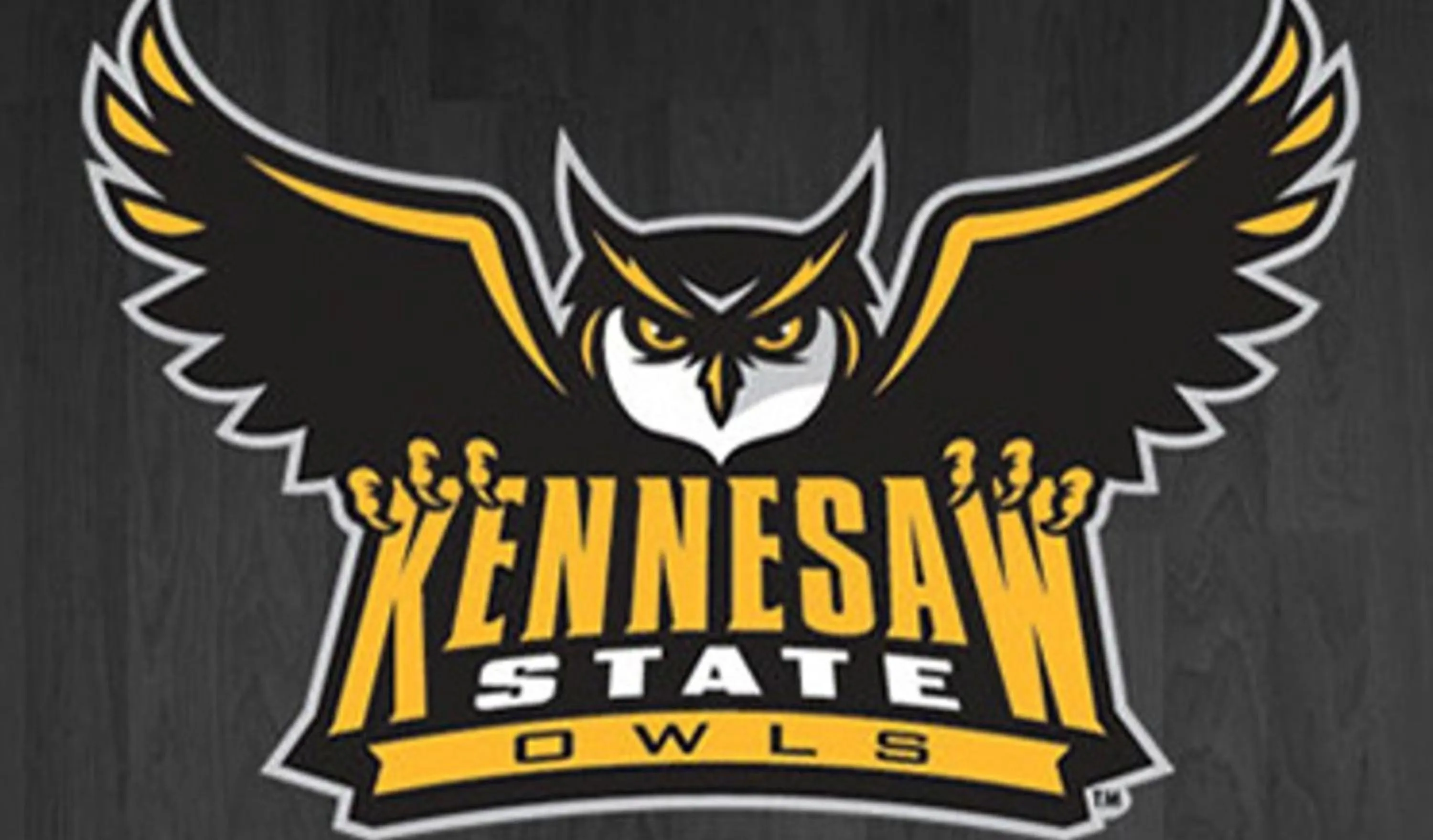 Activities in Baymont by Wyndham Kennesaw