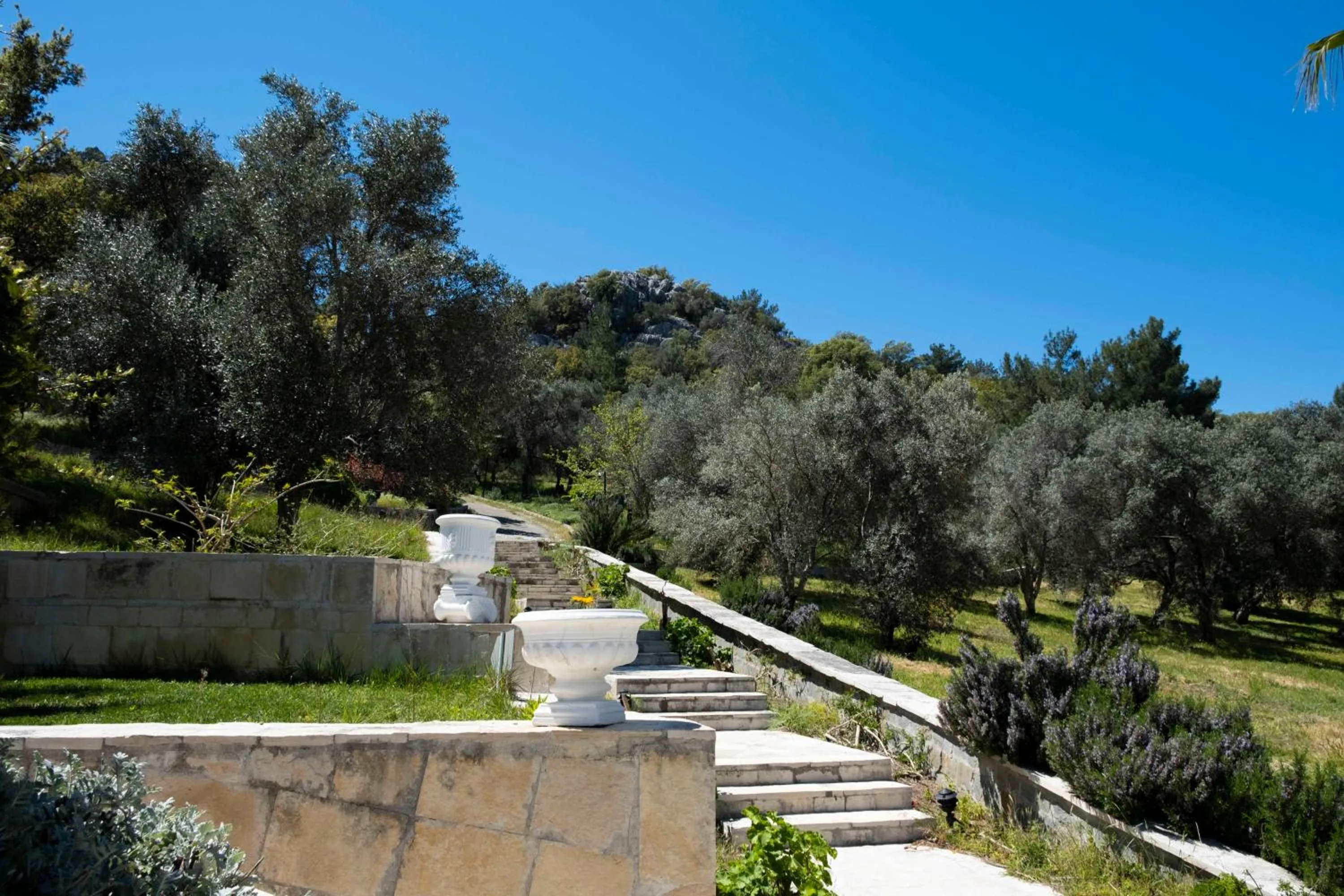 Hiking in X Life Hotel Sarıgerme 15 - Adult Hotel