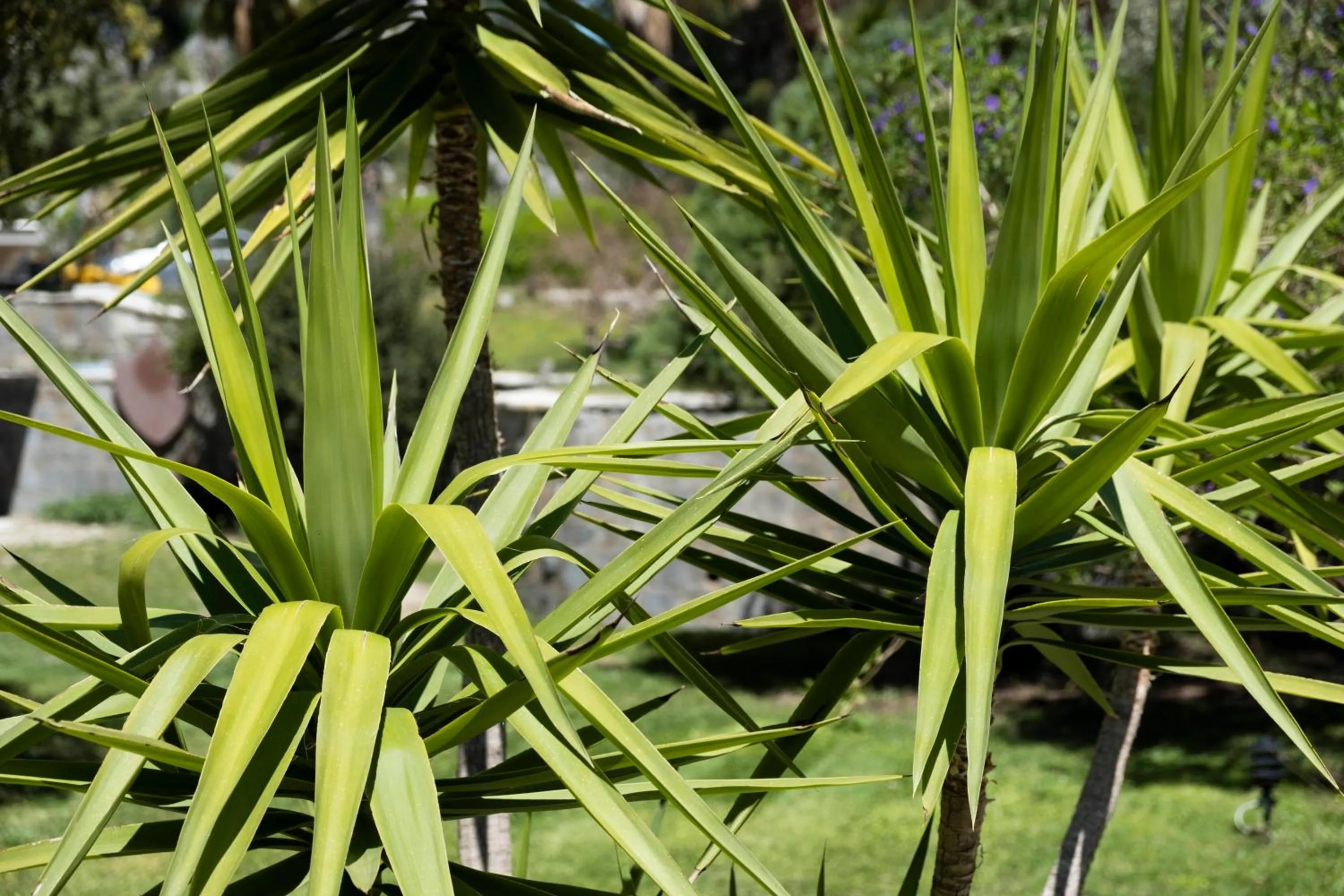 Garden in X Life Hotel Sarıgerme 15 - Adult Hotel