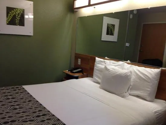 Bed in Microtel Inn & Suites by Wyndham Saraland