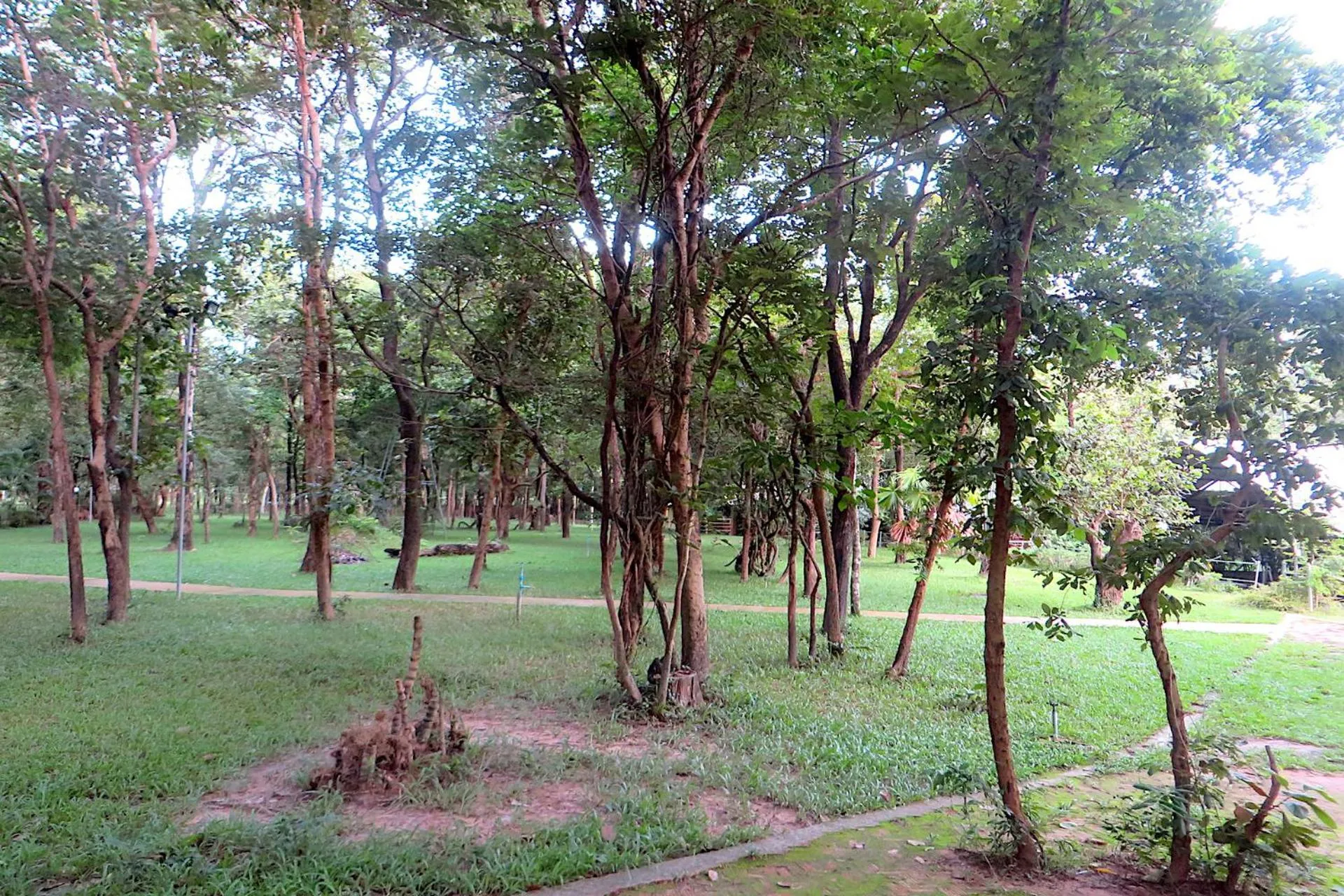 Day in Isaan Perazim Park