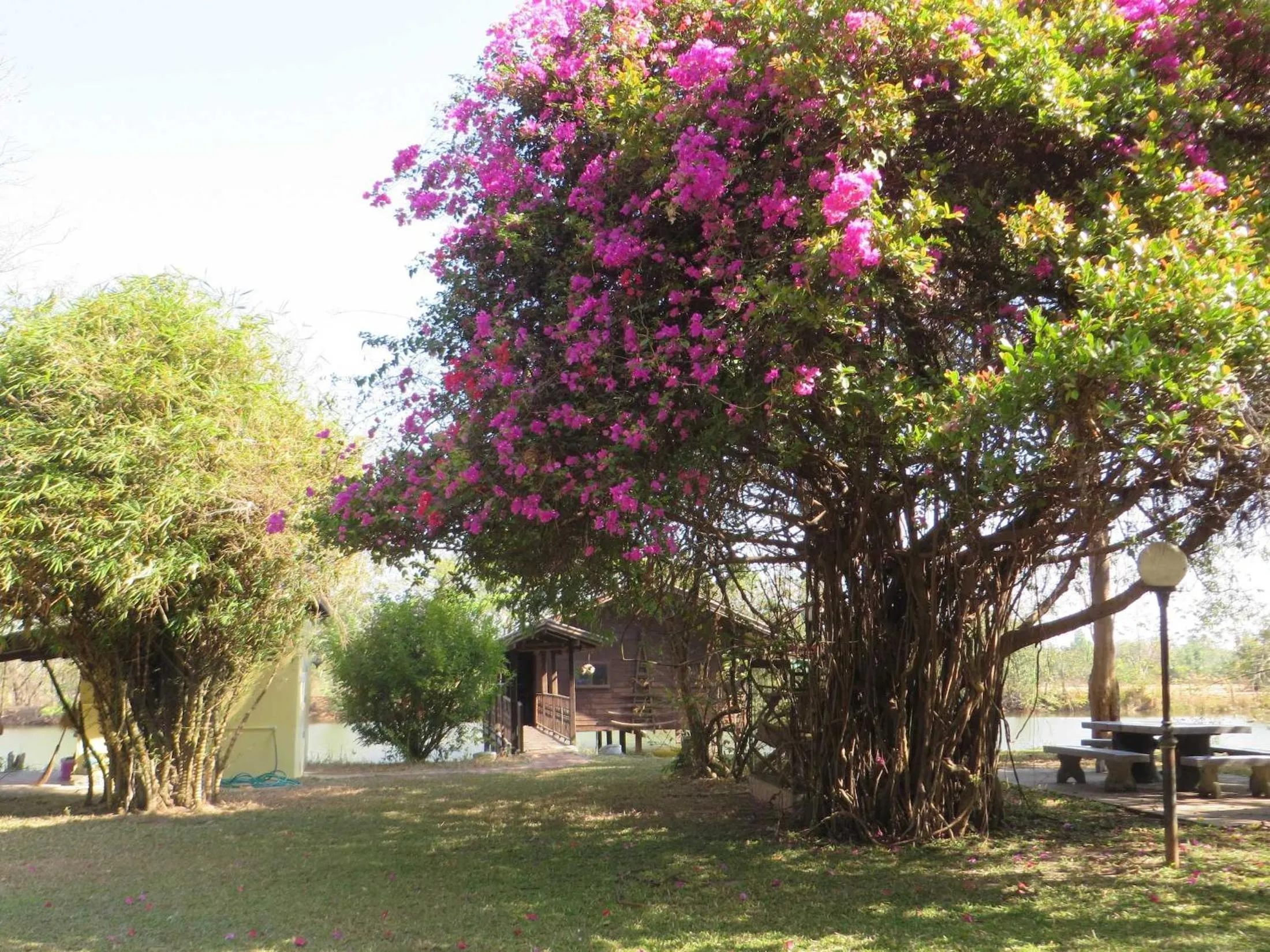 On site in Isaan Perazim Park