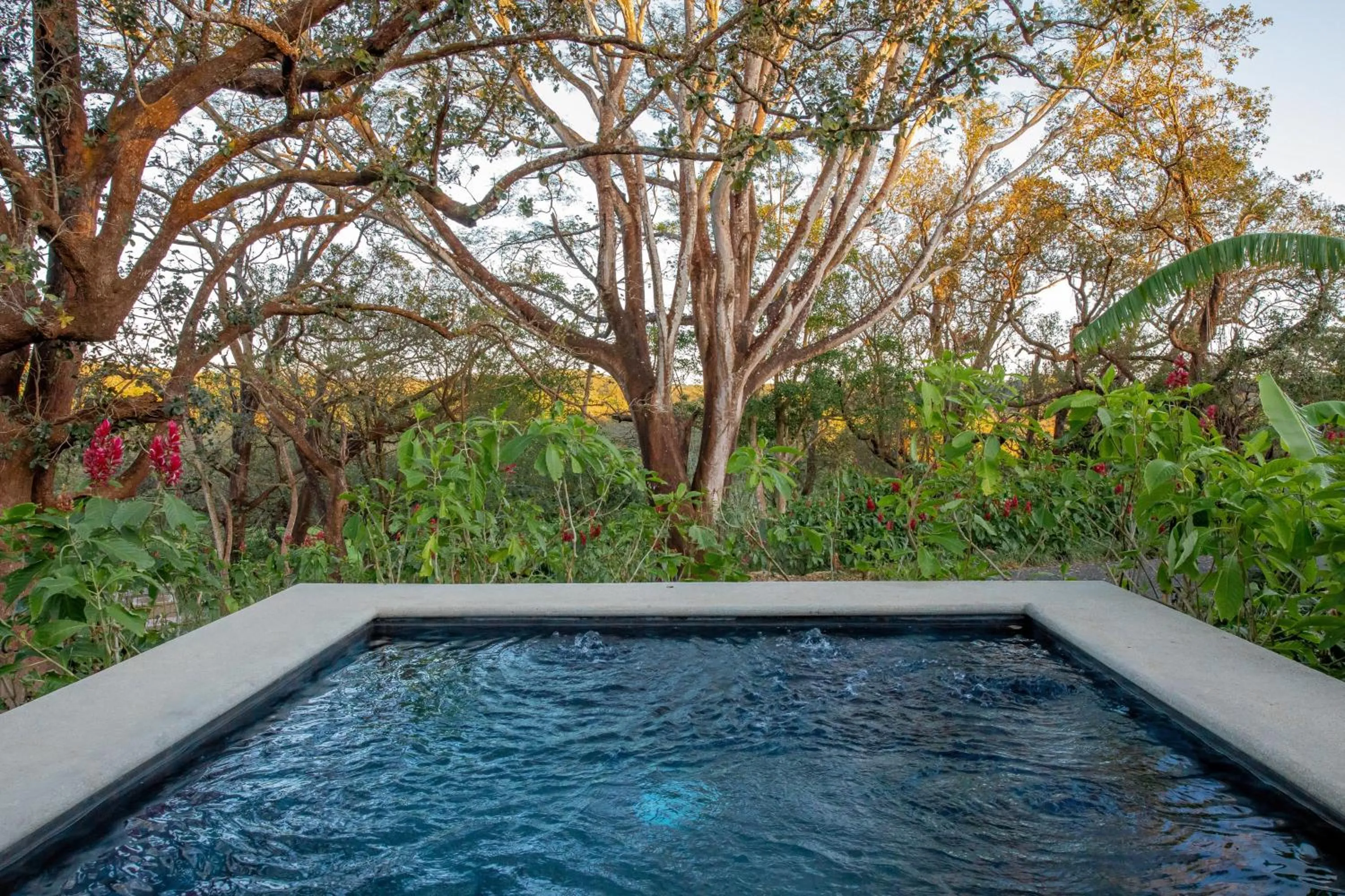 Swimming pool in Hacienda Guachipelin Volcano Ranch Hotel & Hot Springs