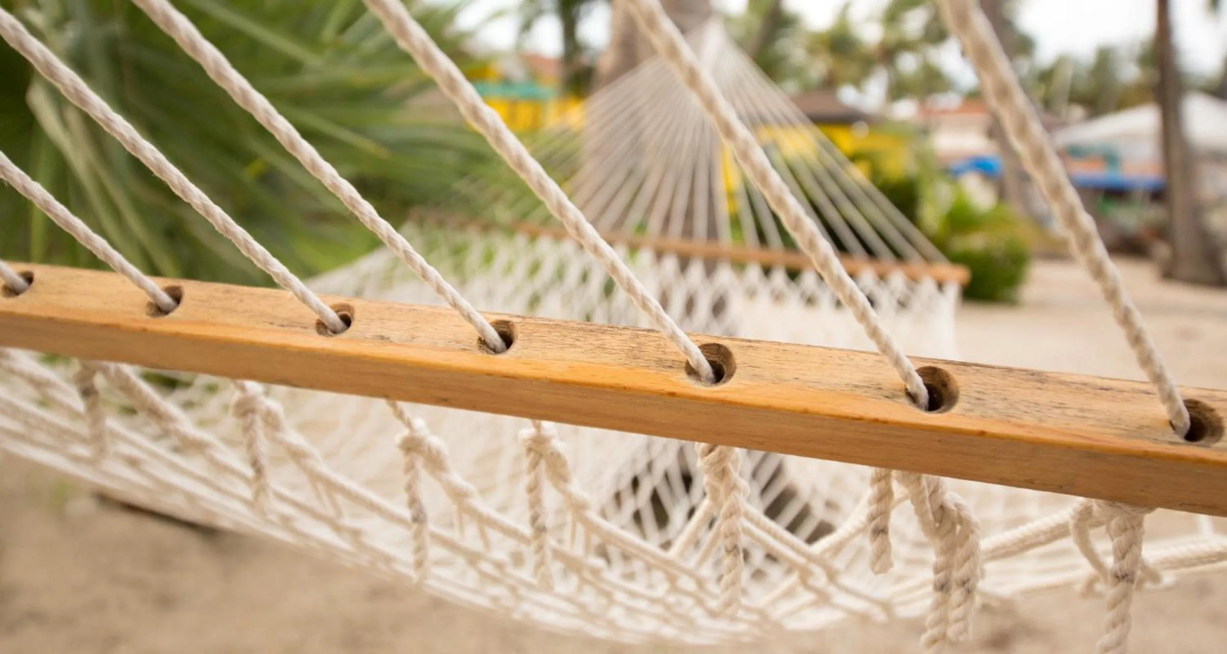 Garden in Bimini Big Game Club Resort & Marina