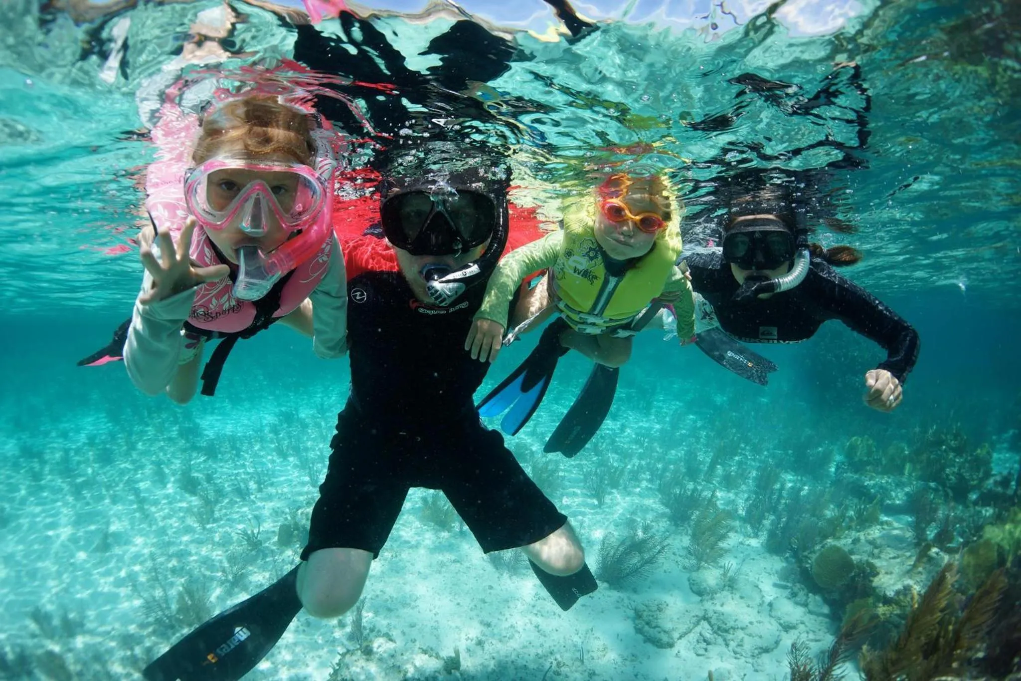 Snorkeling in Bimini Big Game Club Resort & Marina